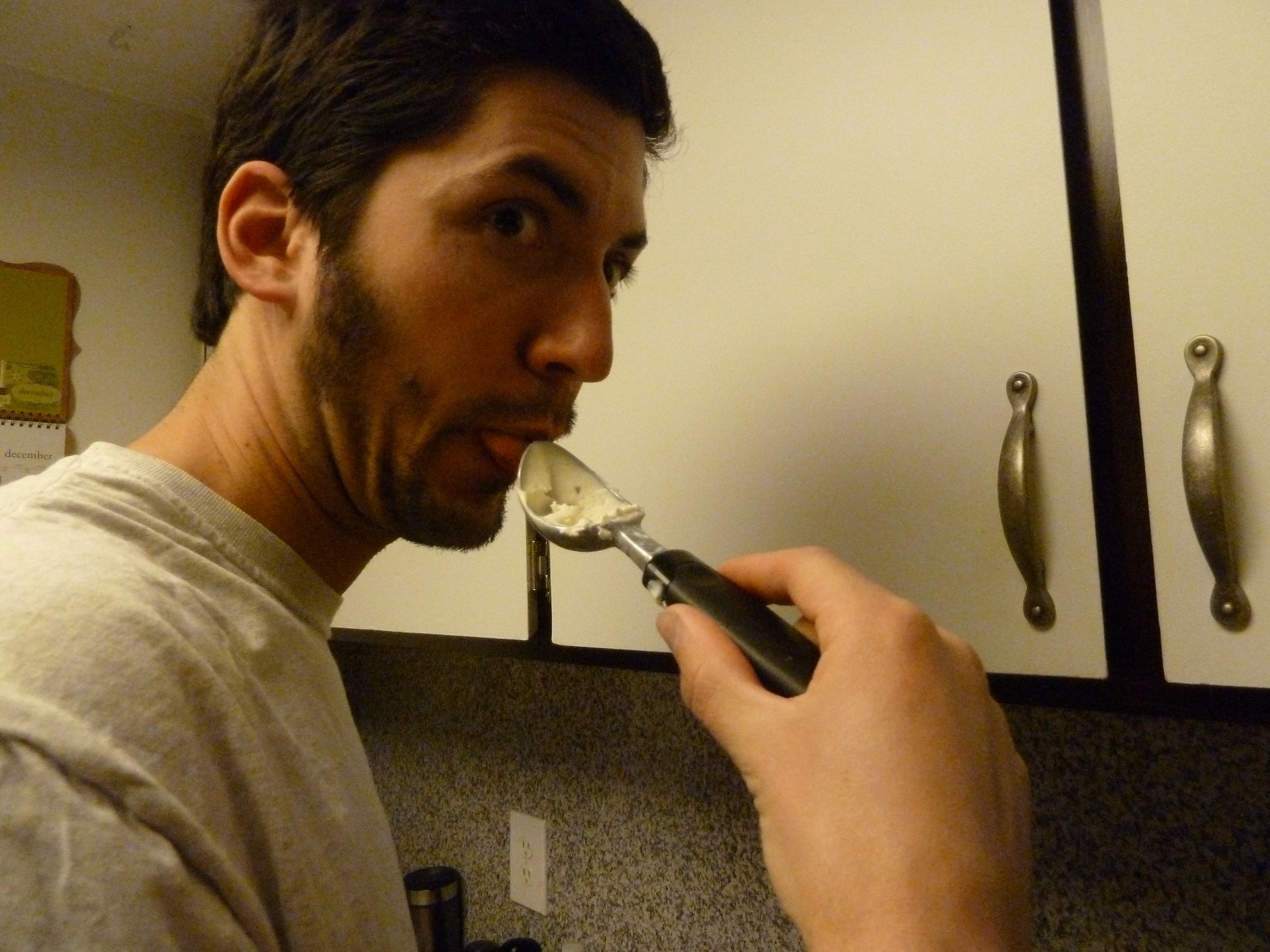 Deep Fried Ice Cream 10 Steps (with Pictures) Instructables