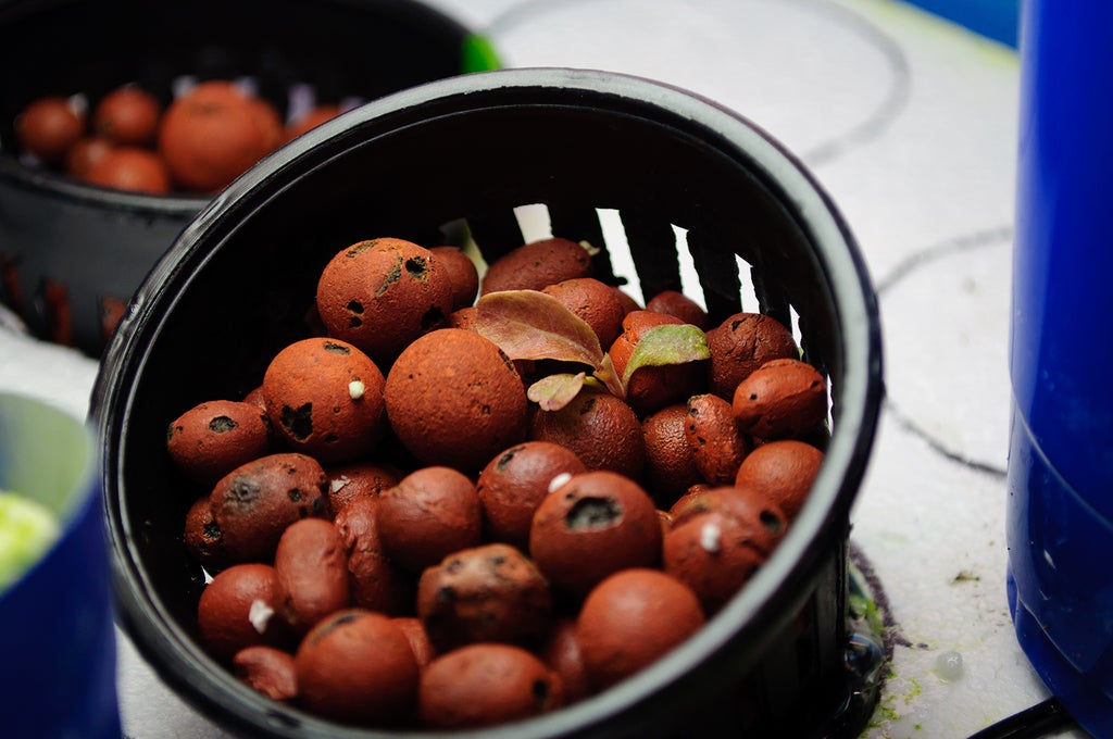 A Basic Small Cheap Hydroponic Salad Raft 6 Steps Instructables