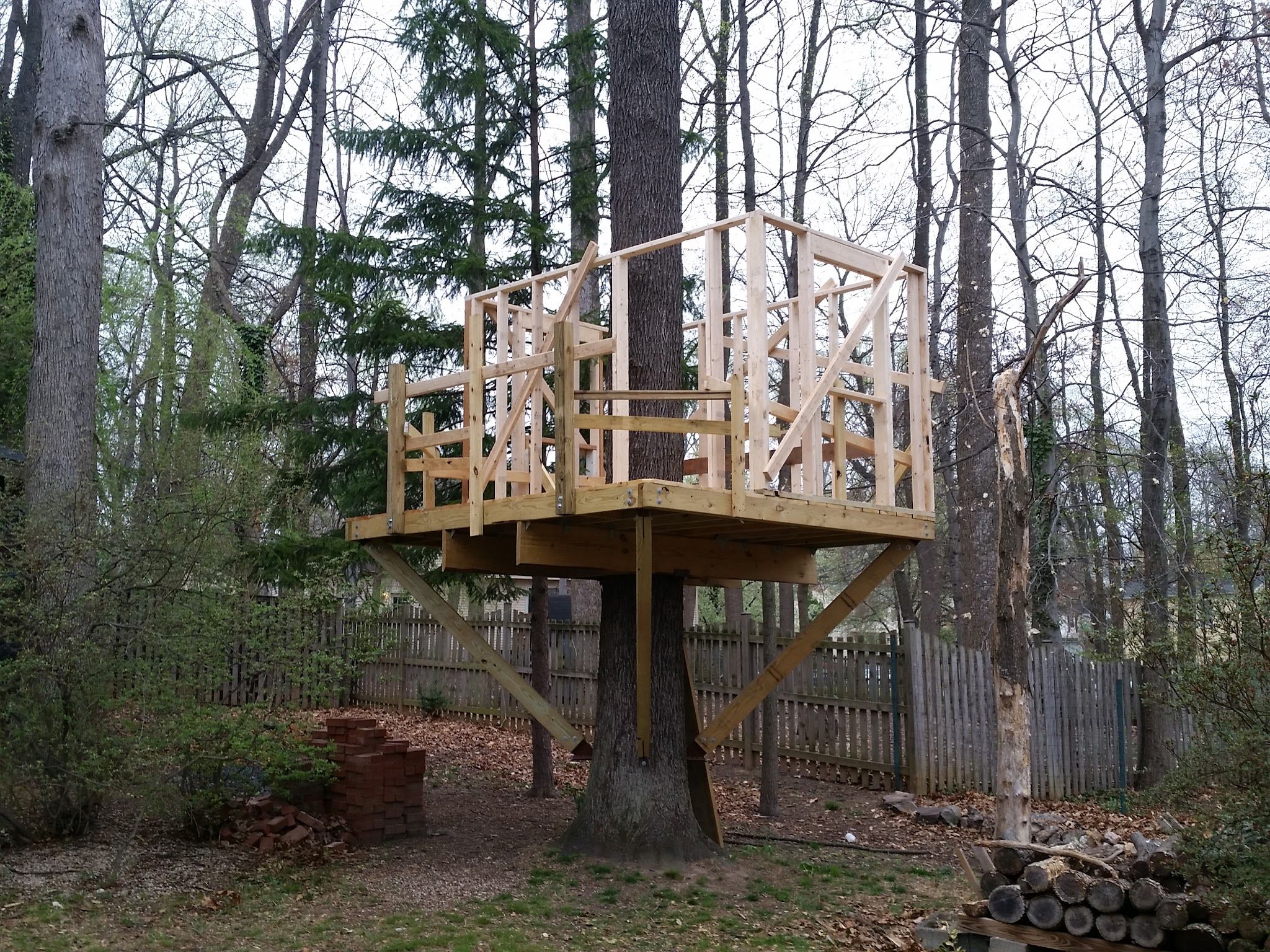 Building A Treehouse : 8 Steps – ICWT