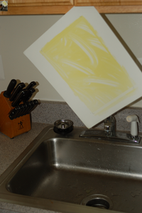 Tri-color Gum Bichromate Prints From Digital Images : 13 Steps (with ...
