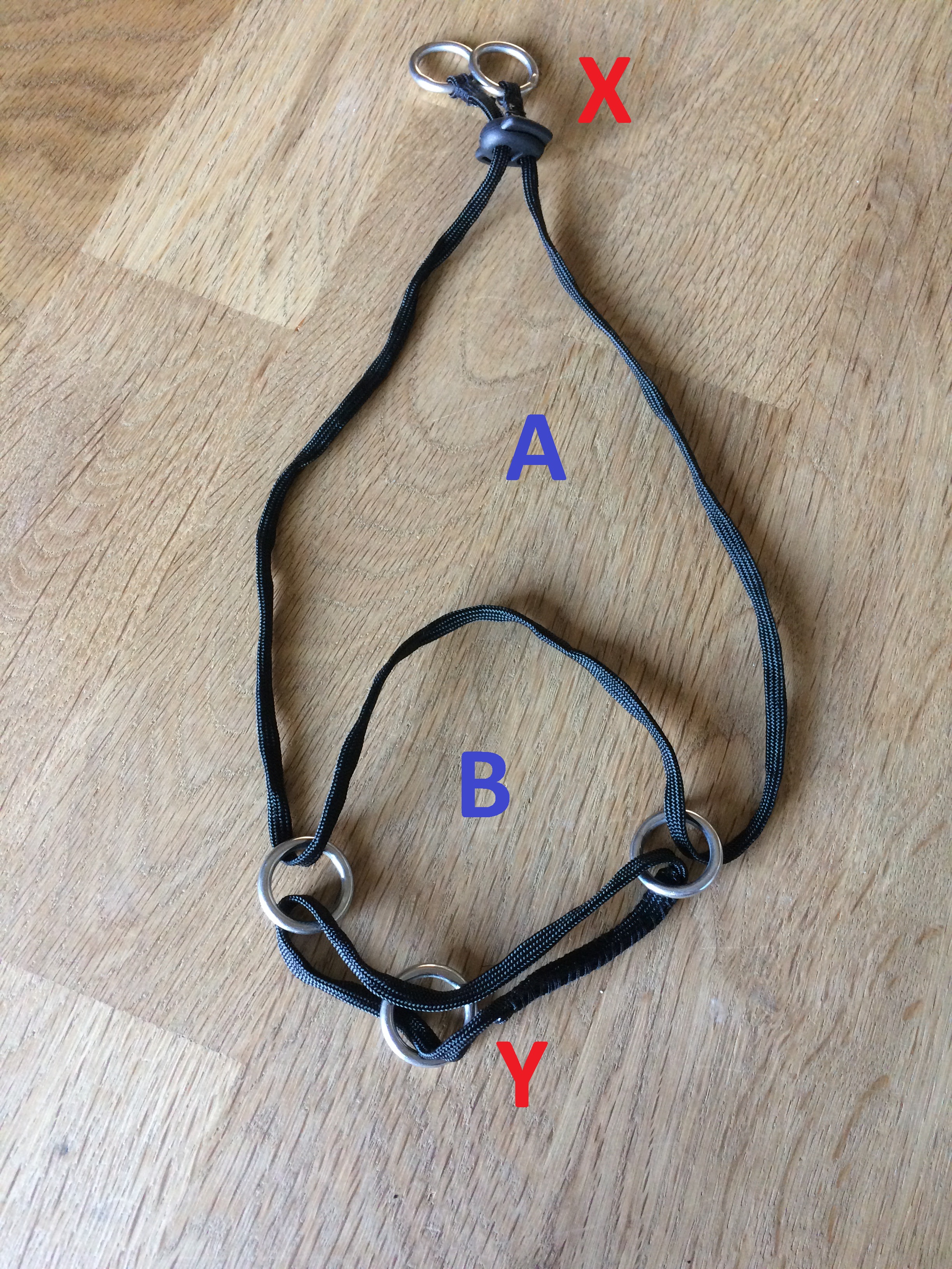 Diy dog head halter Clearance