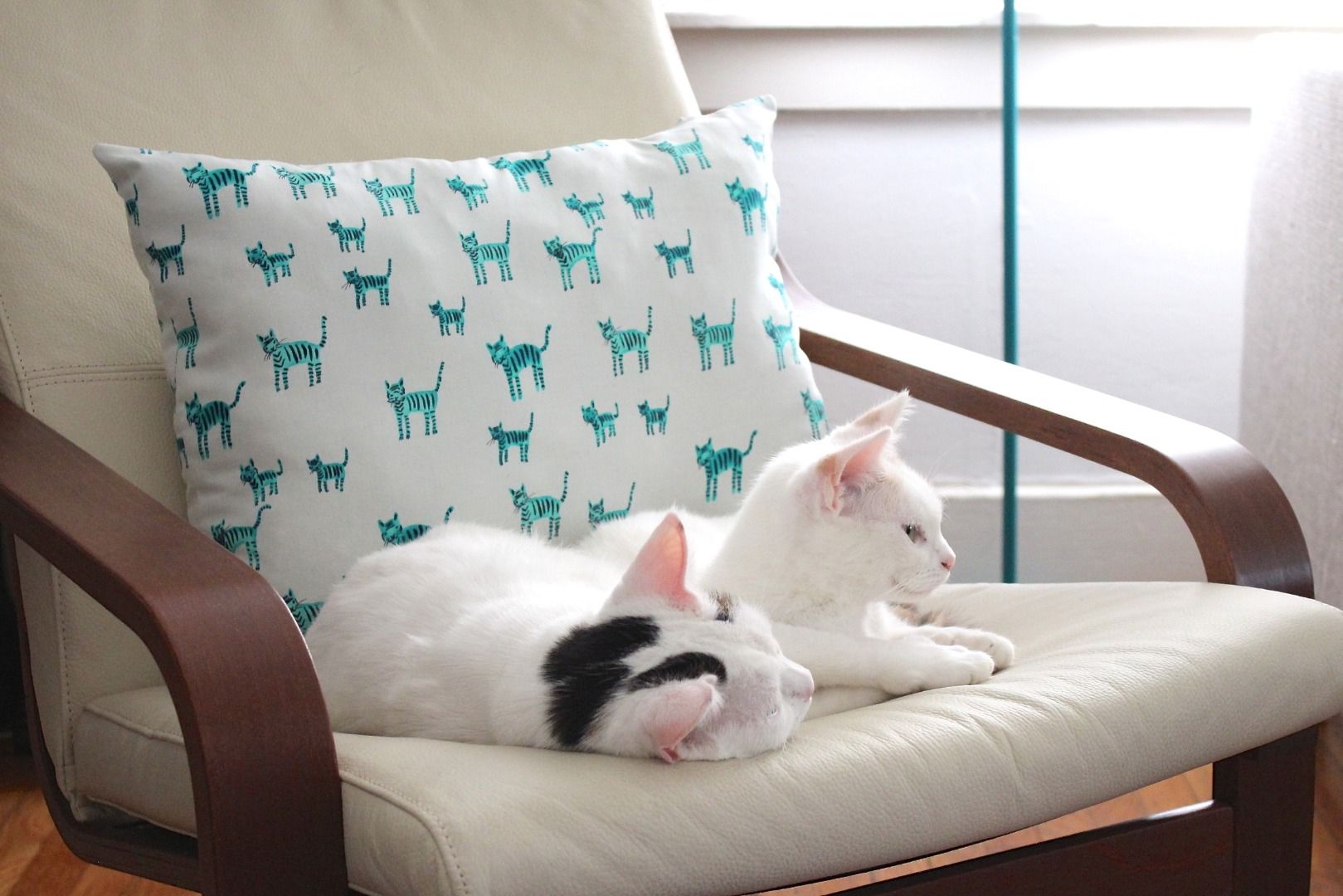 zippered throw pillow covers