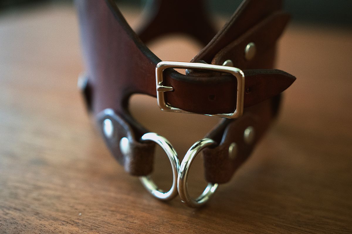 leather puppy harness