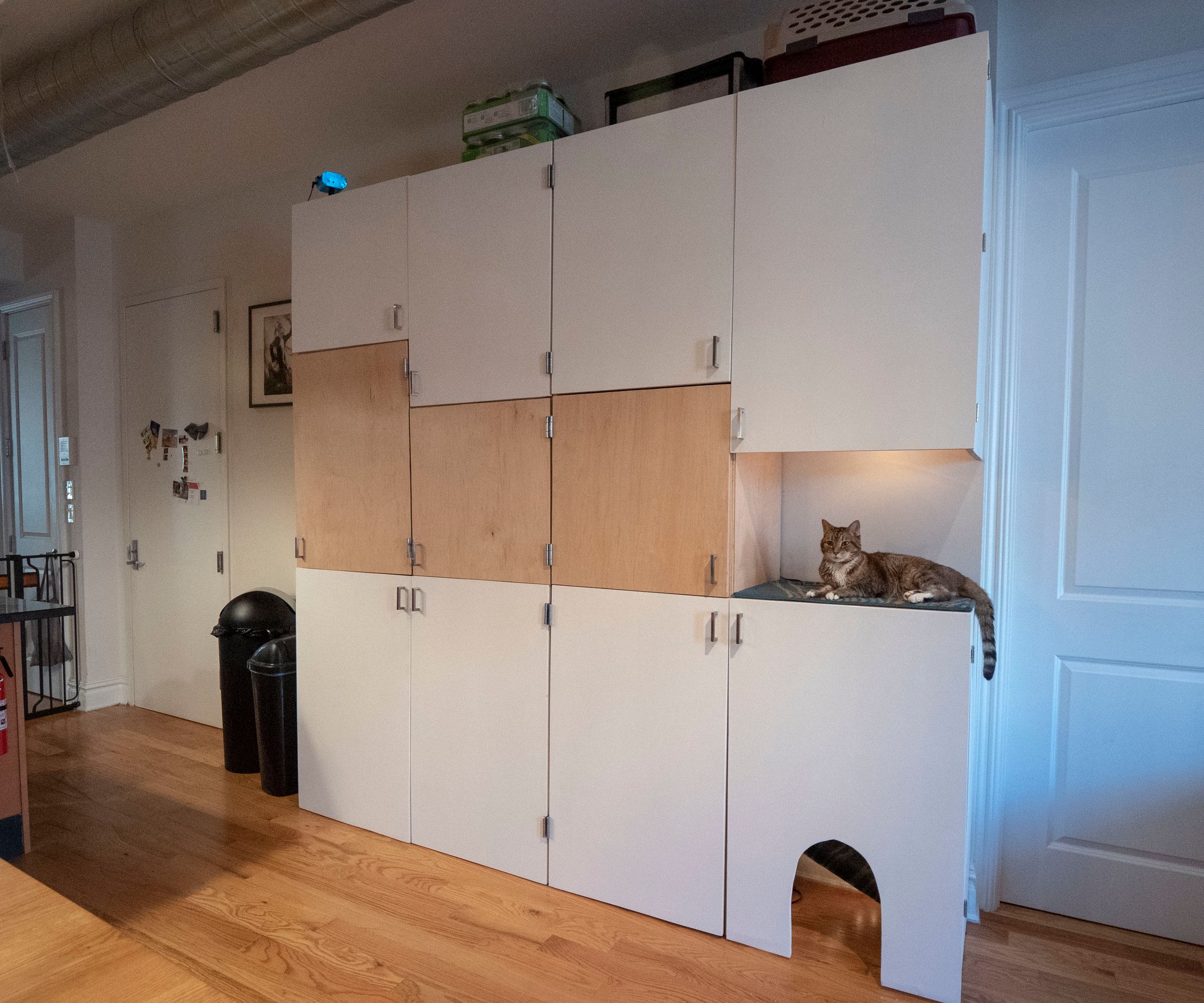 Plywood Storage Wall With Cat Tower