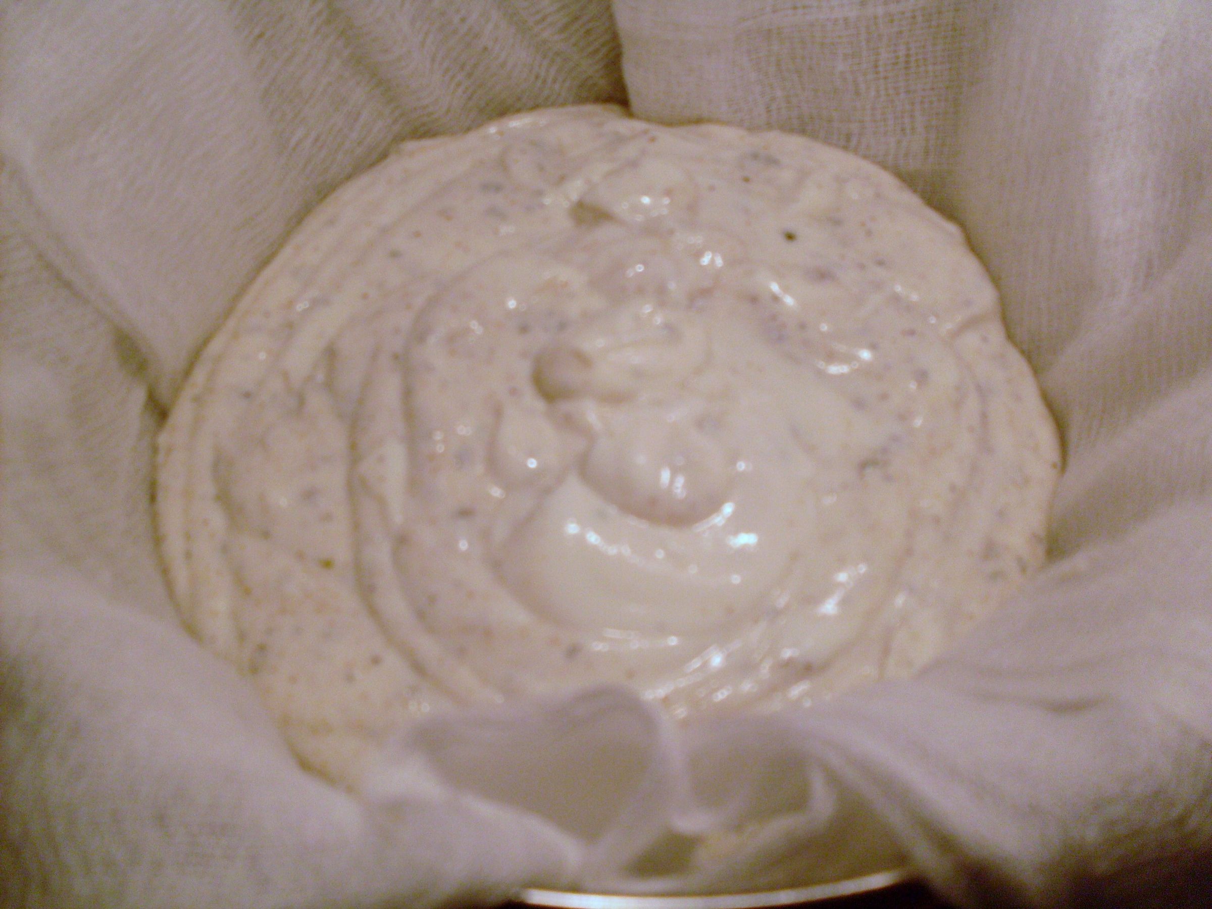 Tangy Yogurt Cheese Spread 3 Steps (with Pictures) Instructables