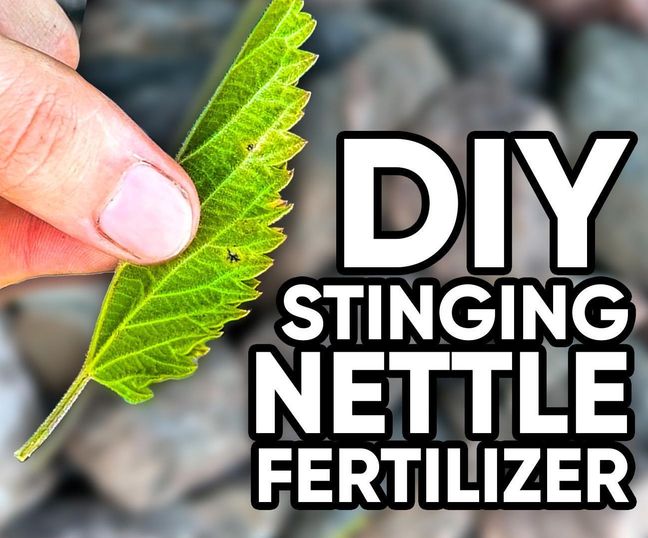 How to Turn Stinging Nettles Into Fertilizer 6 Steps (with Pictures