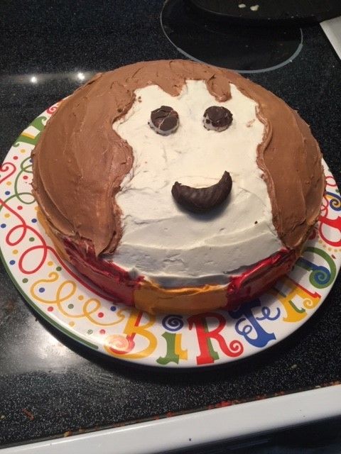 Hermione Granger Cake 5 Steps Instructables