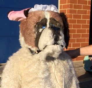 St Bernard Halloween Costumes 2022 Nana Costume St Bernard Dog Costume From Disney Peter Pan 7 Steps Instructables