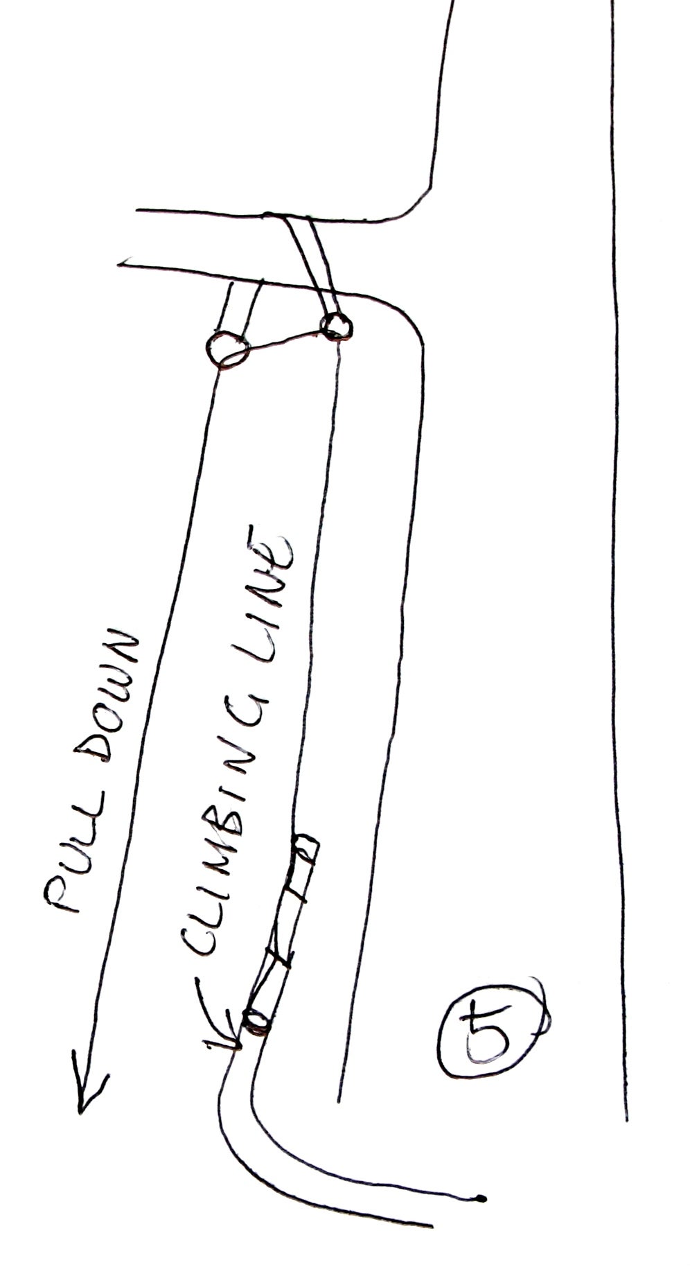 How to Get a Rope Into a Tree (without Climbing It) 6 Steps