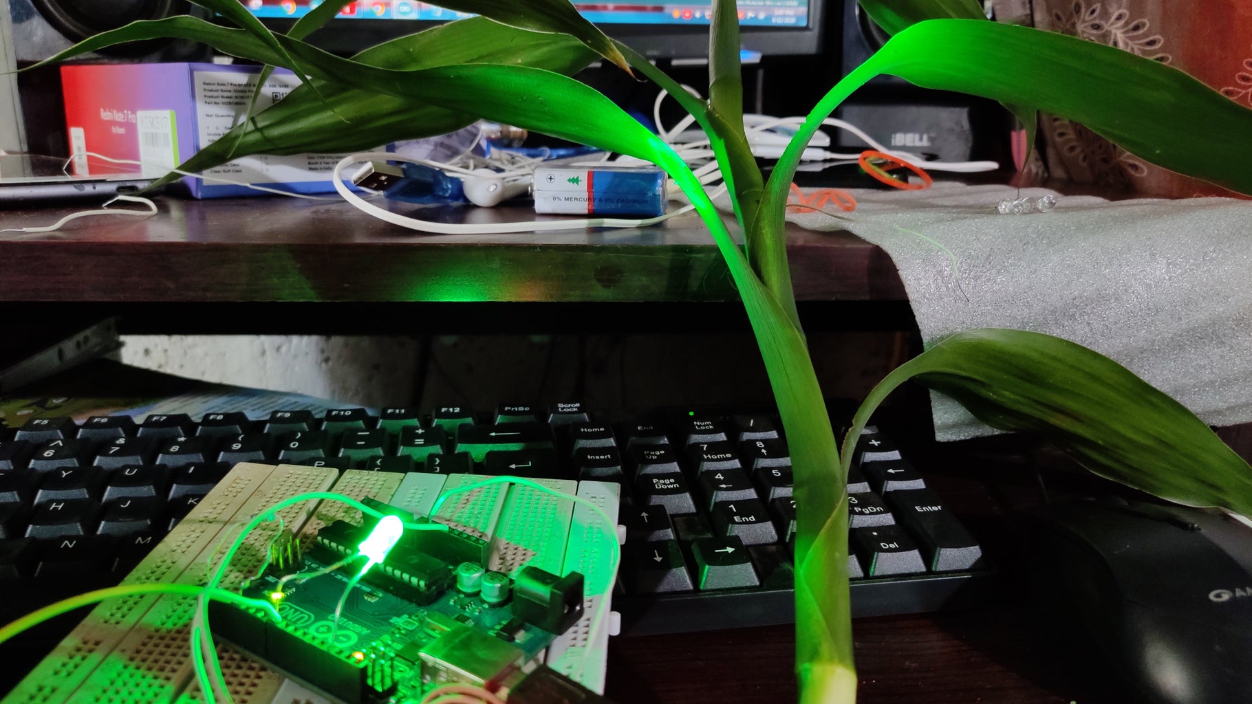 TOUCH SENSITIVE ARDUINO PLANT : 6 Steps - Instructables