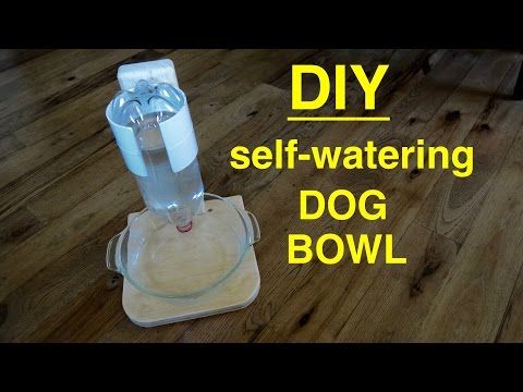 diy automatic dog waterer