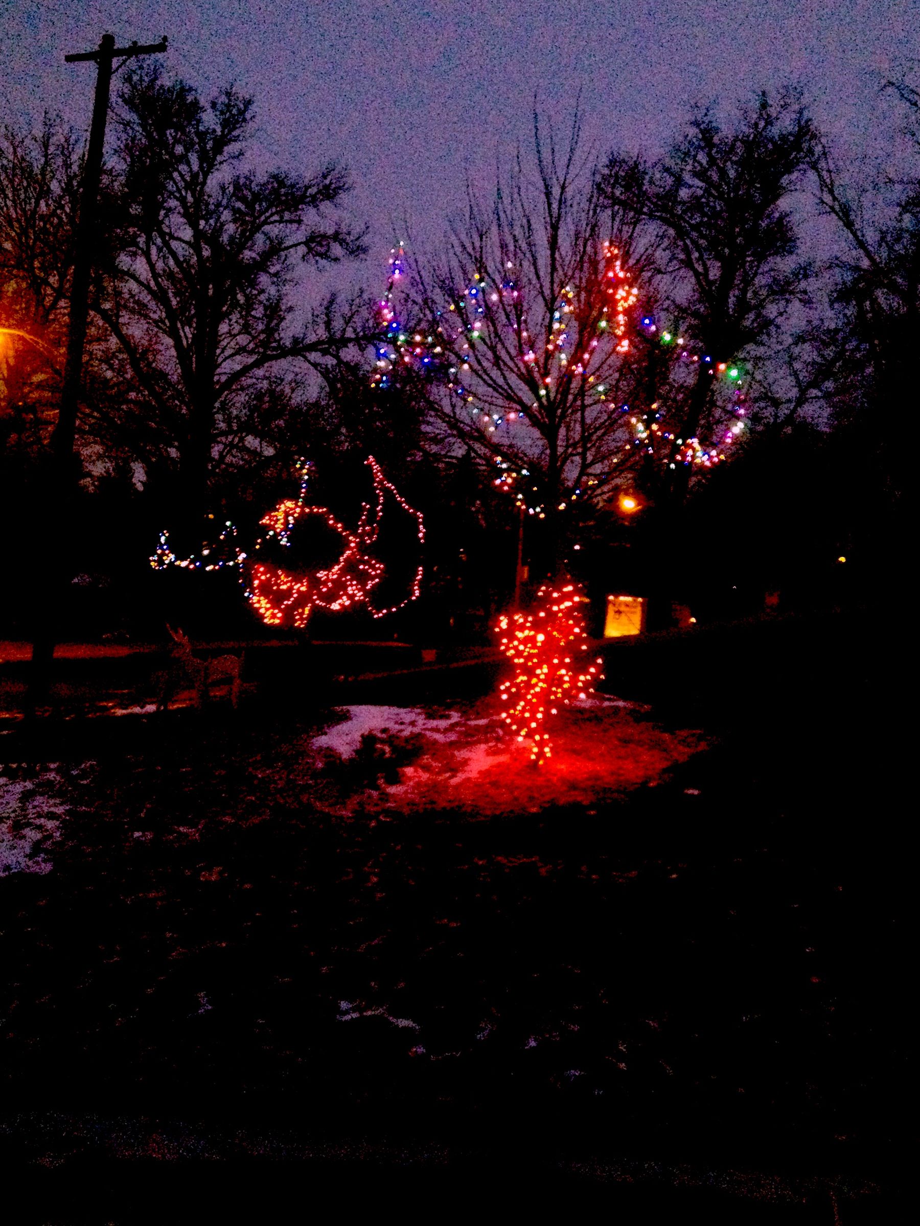 Hanging Christmas Tree Lights Without a Ladder 3 Steps (with Pictures