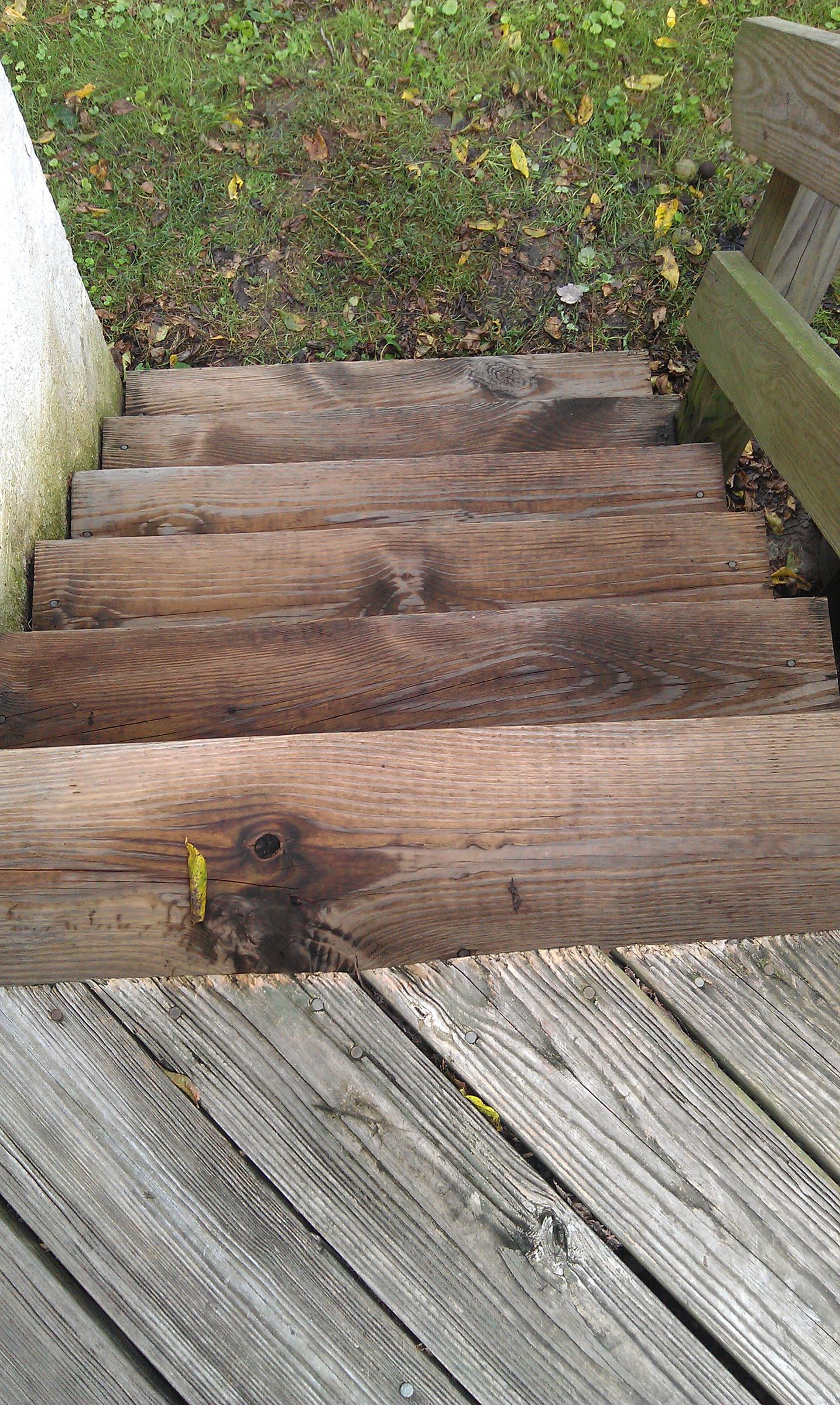 Killing Algae Growing on a Wooden Deck Using Hydrogen Peroxide