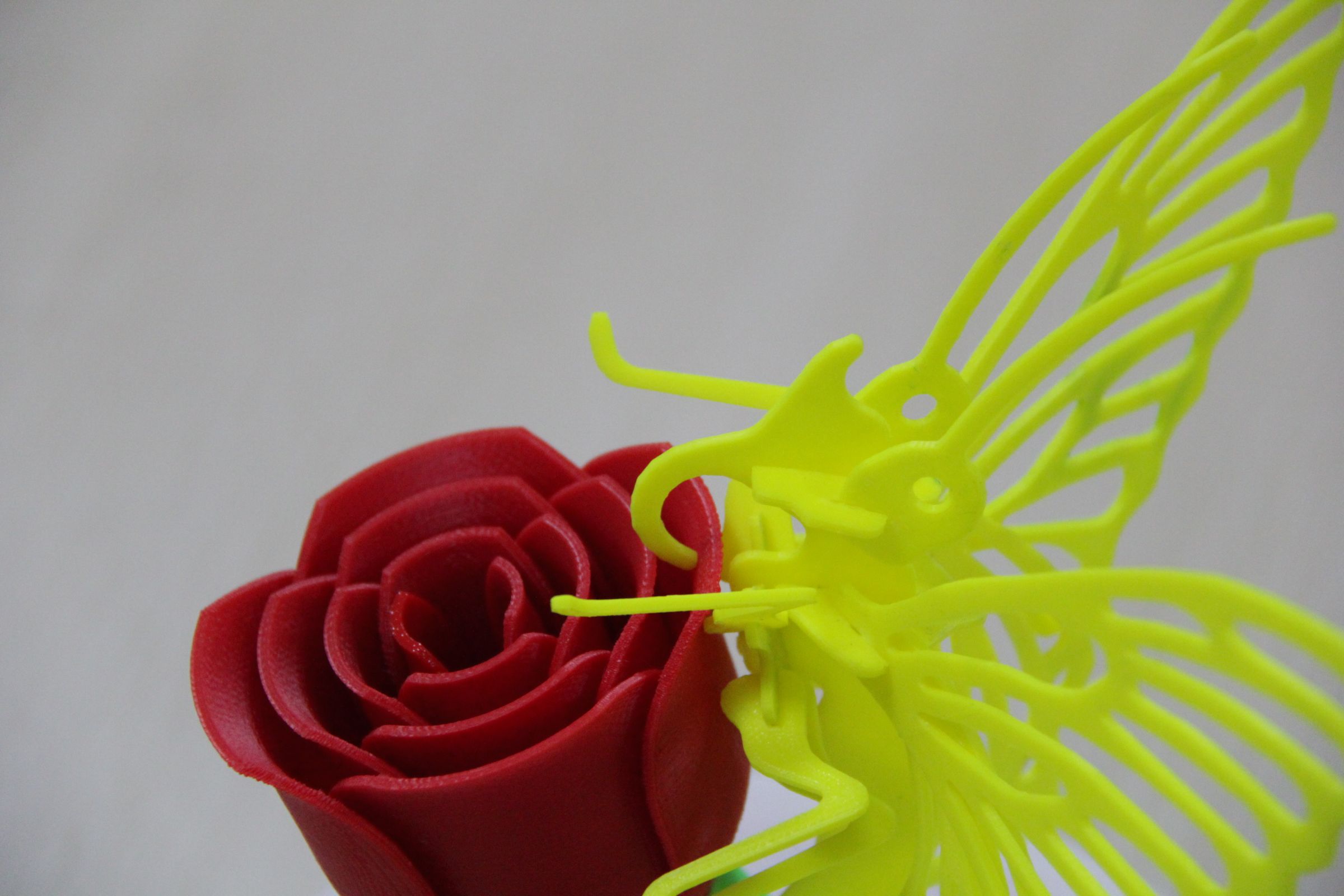 butterfly loves rose DIY Project DIY Project Image