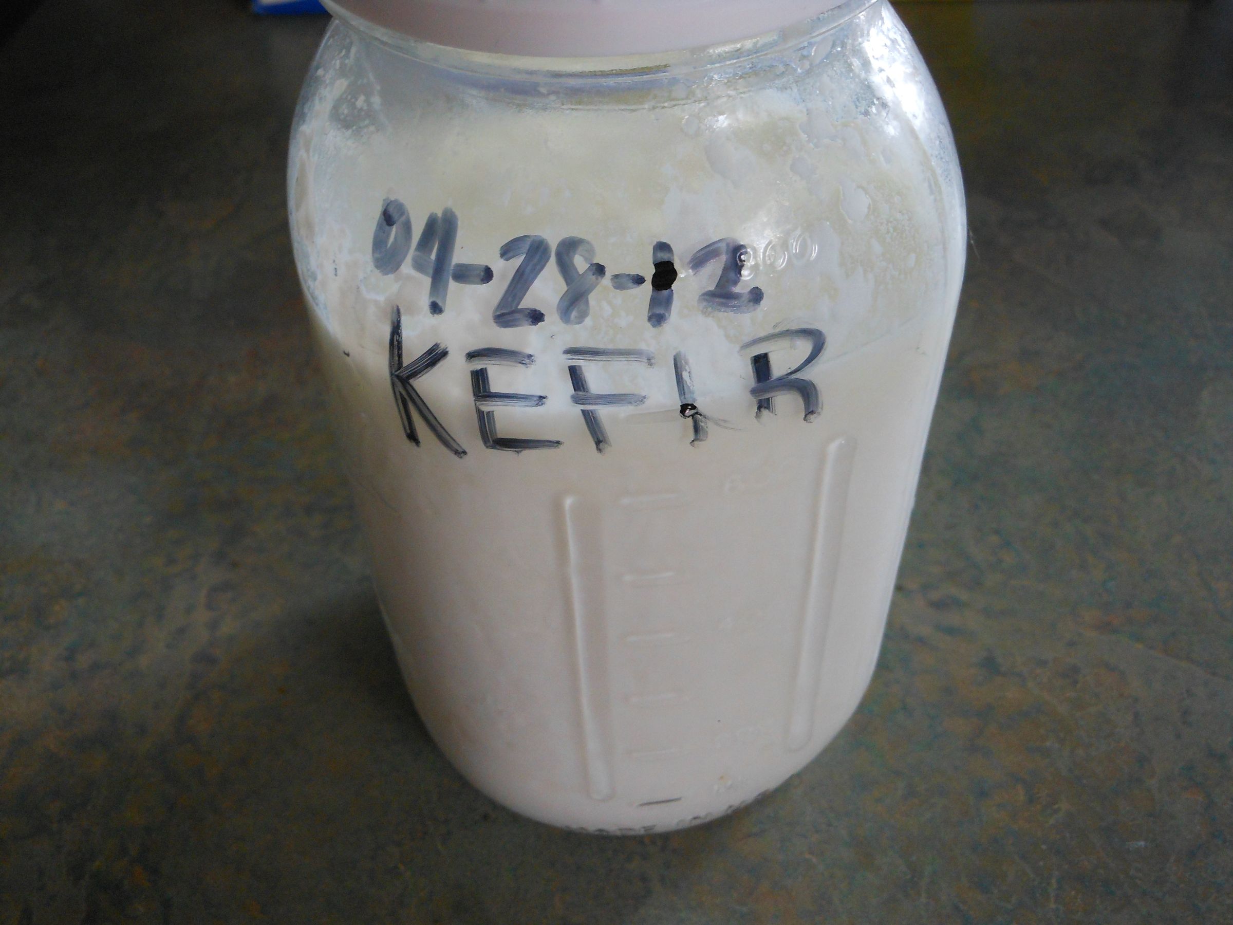 Homemade Kefir 11 Steps (with Pictures) Instructables