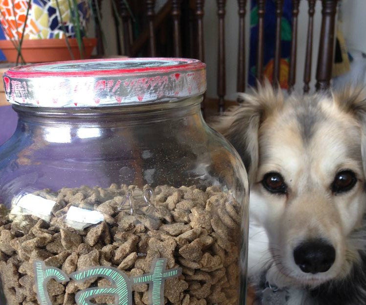 Rustic Rat (Pet) Food Jar 4 Steps Instructables