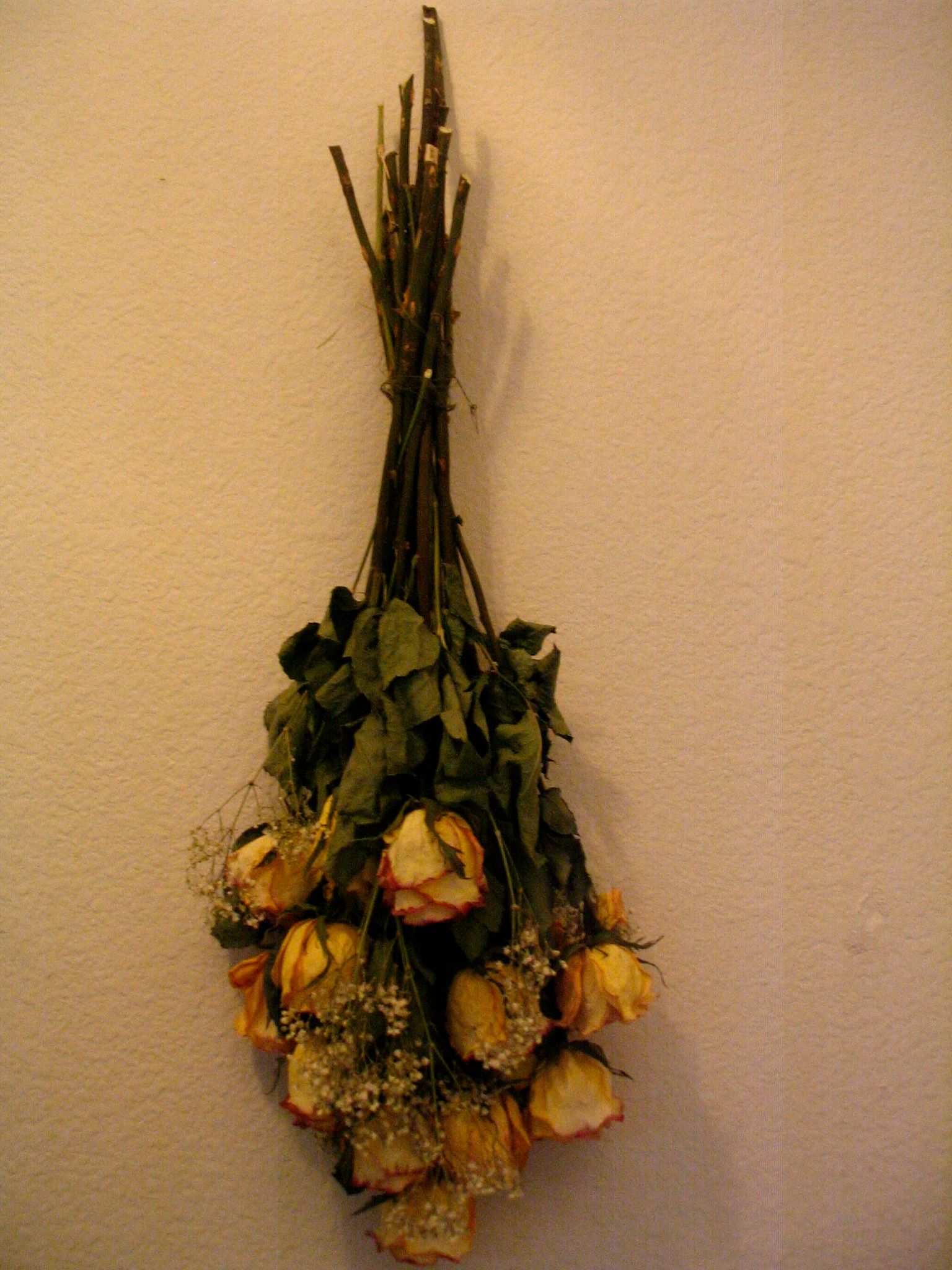 Dried Roses the Easy Way 4 Steps (with Pictures) Instructables