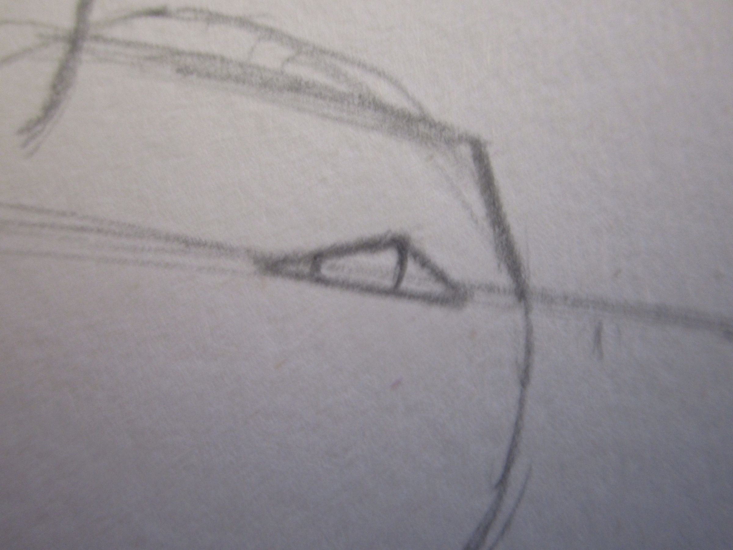How To Draw A Wolf Head 15 Steps Instructables