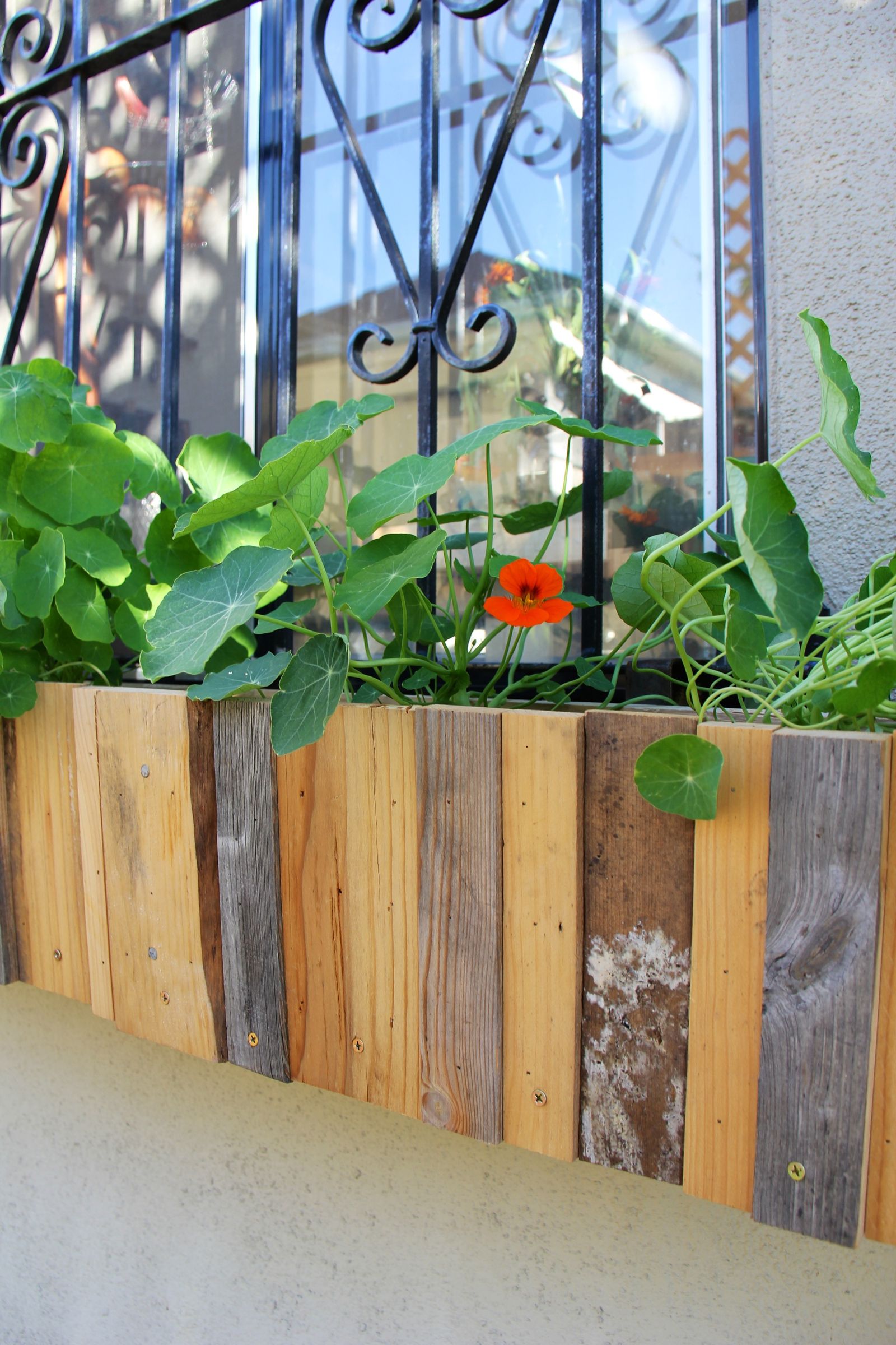 Planter Boxes for Windows With Bars 10 Steps (with Pictures