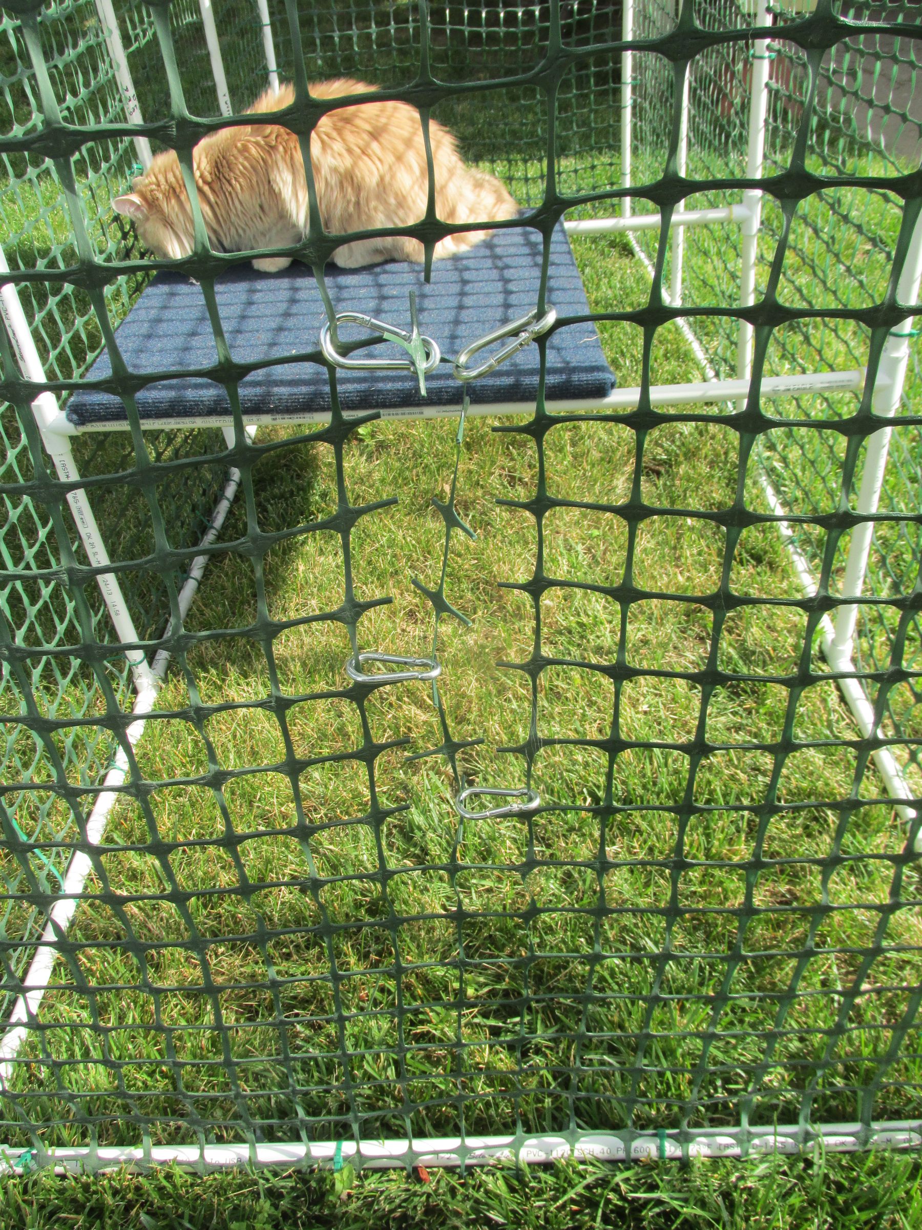 Cat Enclosure 6 Steps (with Pictures) Instructables