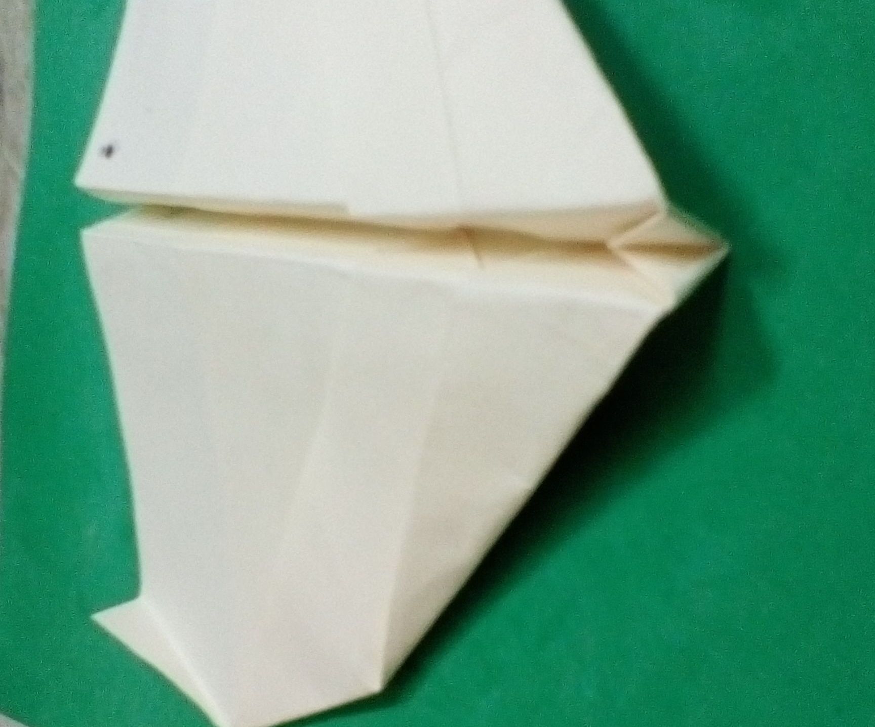 boomerang paper plane(own design) DIY Project DIY Project Image