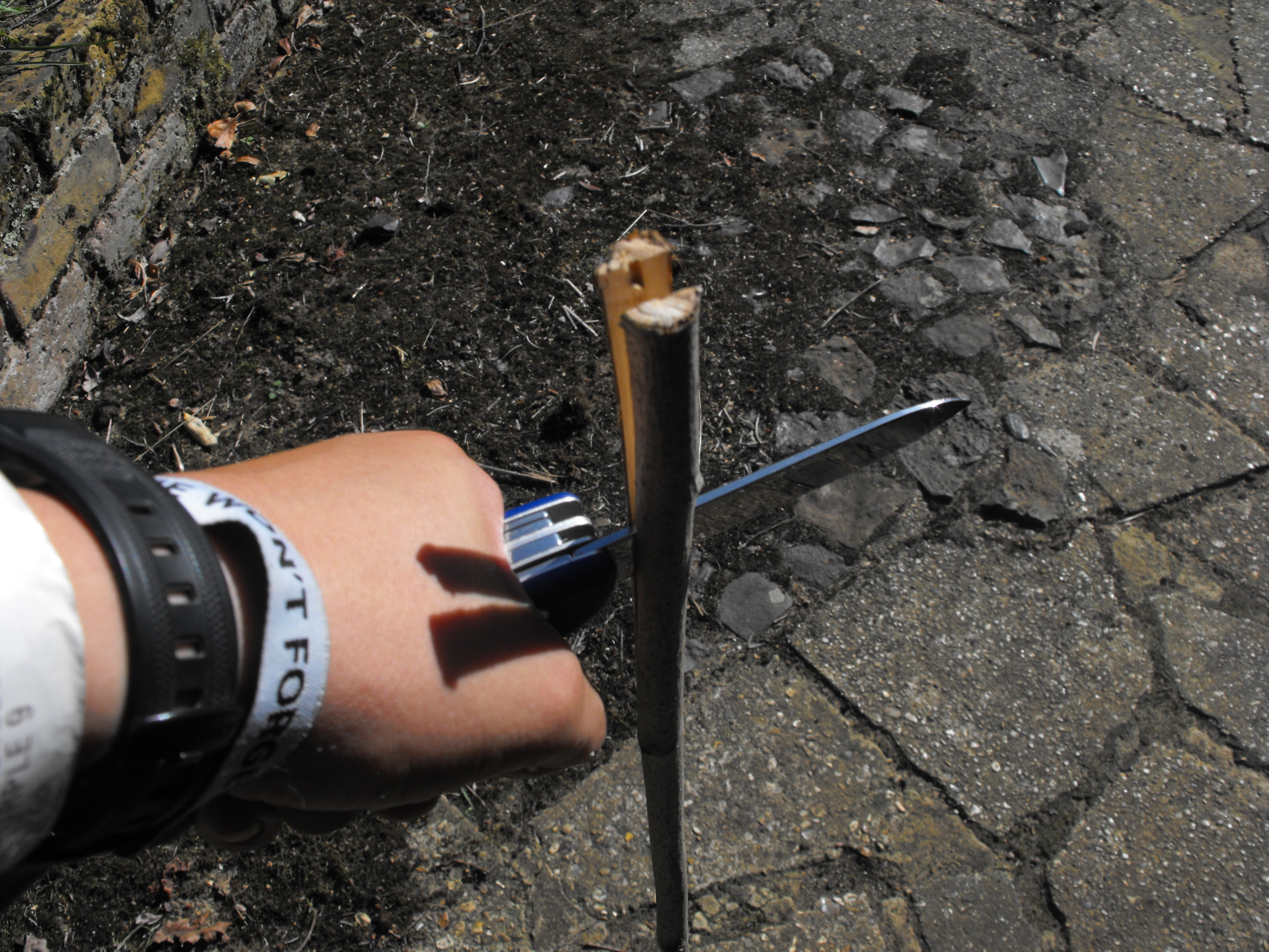 Campfire Toasting Fork 5 Steps (with Pictures) Instructables