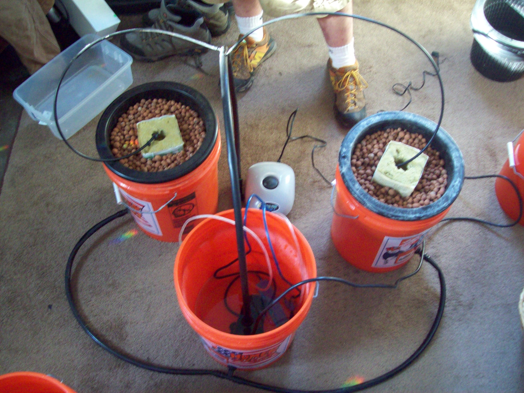 How to Make a Multiple Bucket Top Feed Hydroponic Grow System 6 Steps