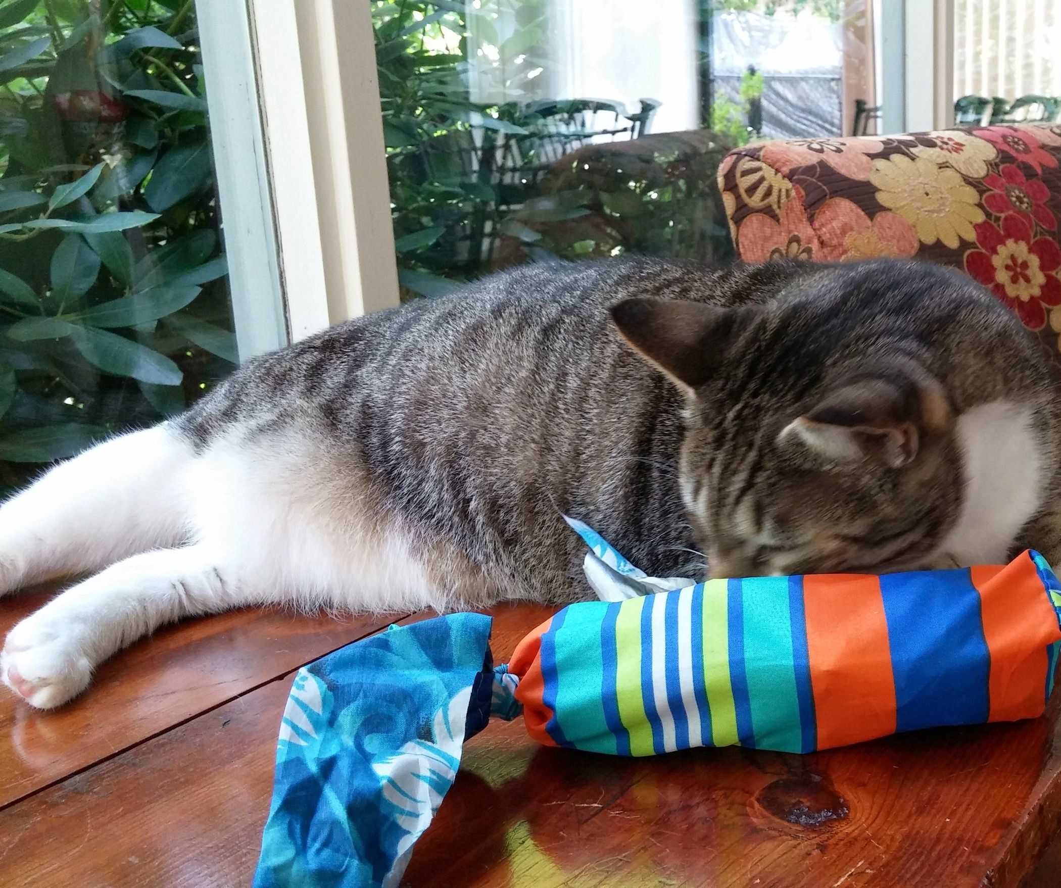 Crinkly Cat Toy From Umbrella Cover 6 Steps (with Pictures