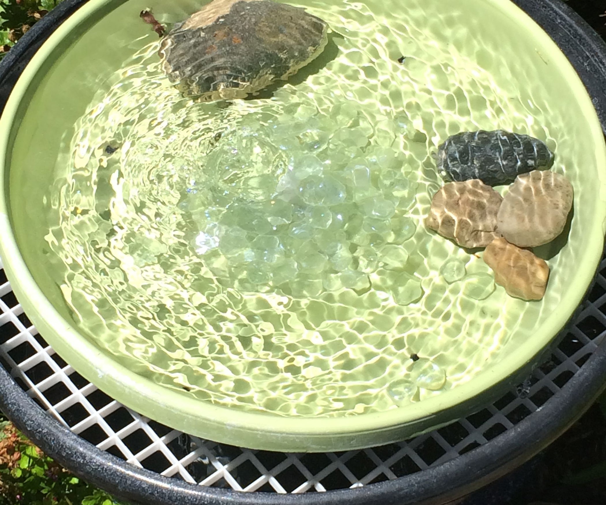 Recirculating Bird Bath/fountain (with Pictures) Instructables