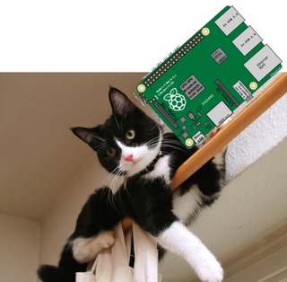 cat bot 9 steps with pictures