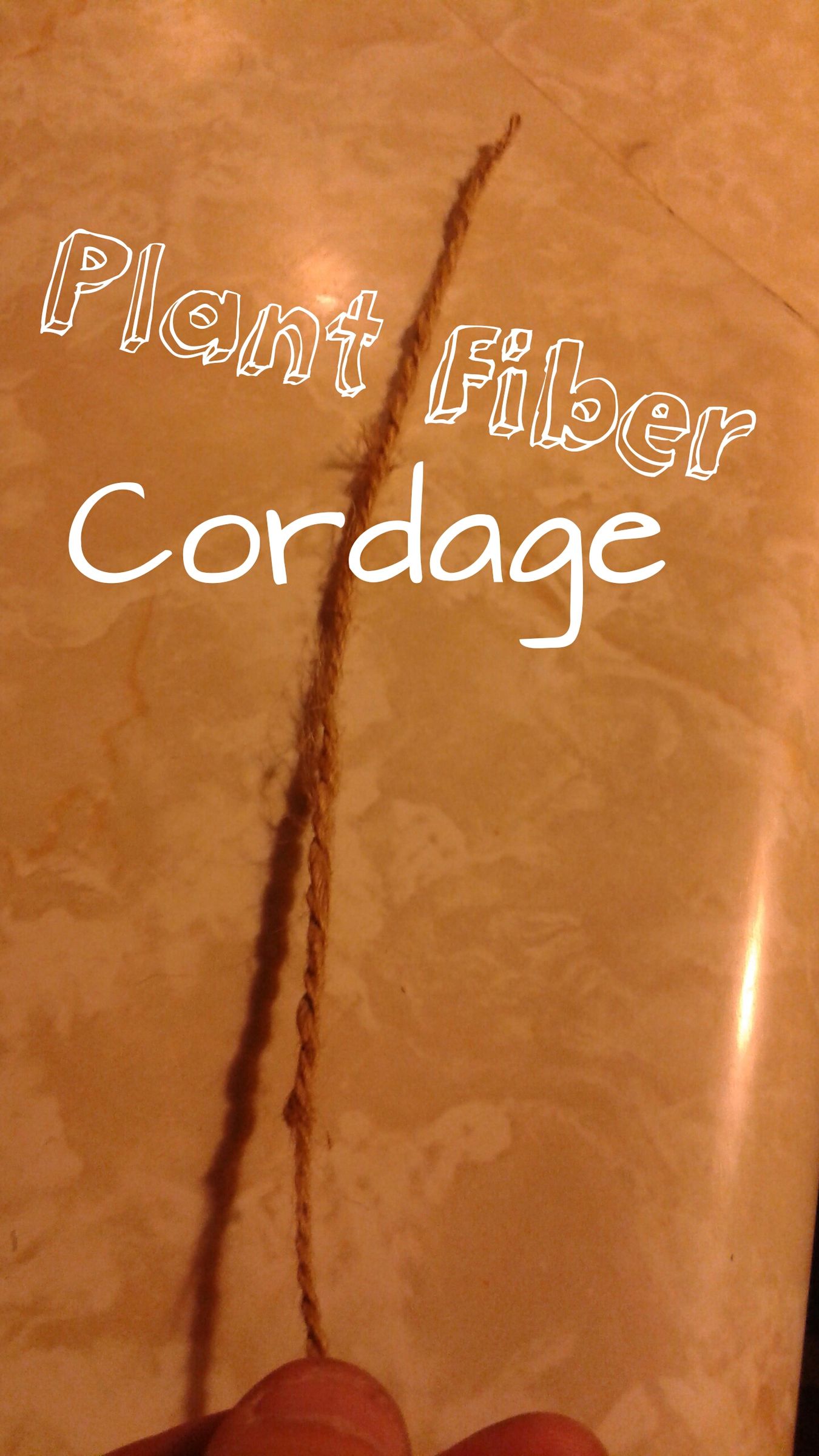 Plant Fiber Cordage 4 Steps Instructables