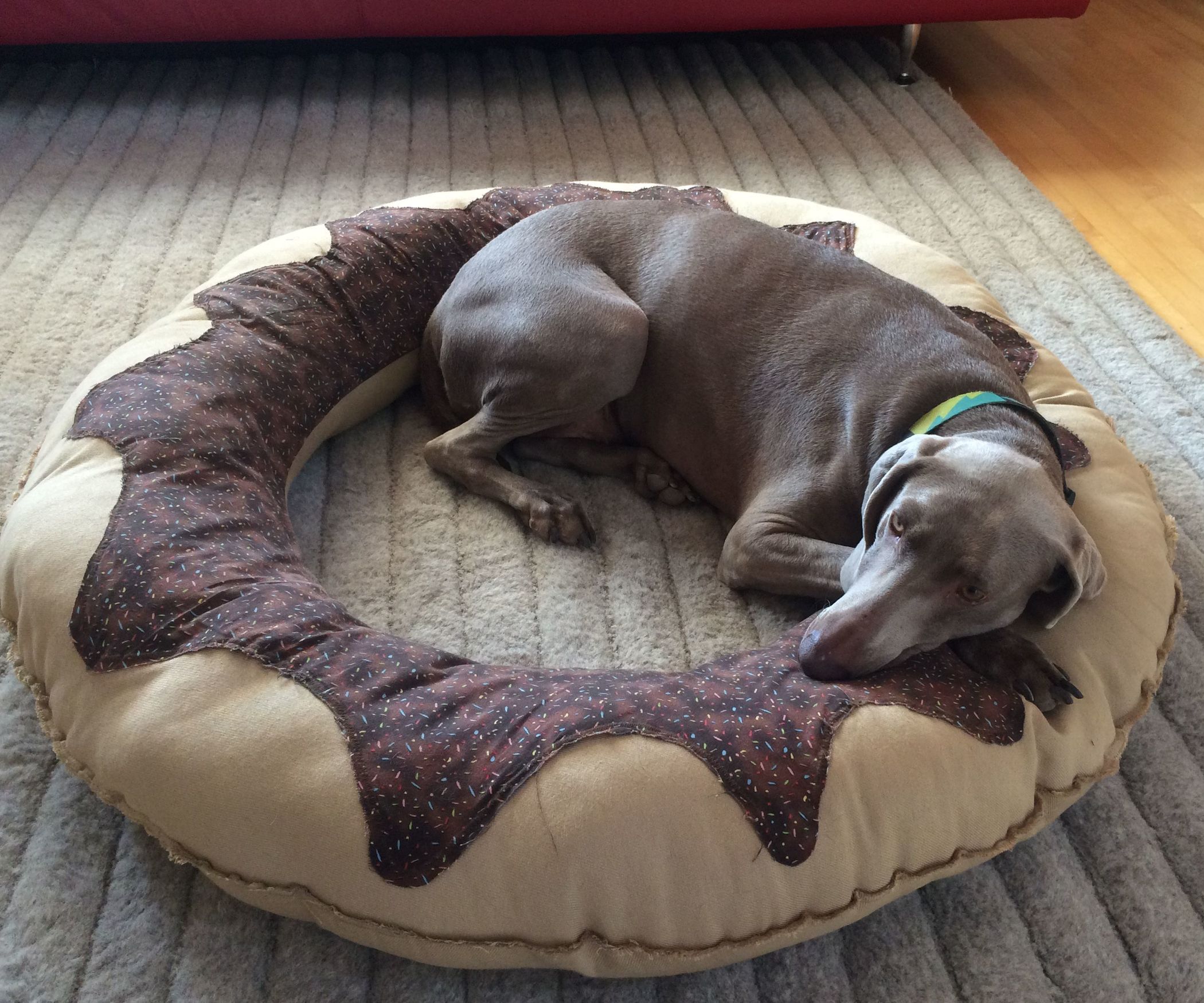 Donut Dog Bed + a Donut Party! 9 Steps (with Pictures) Instructables