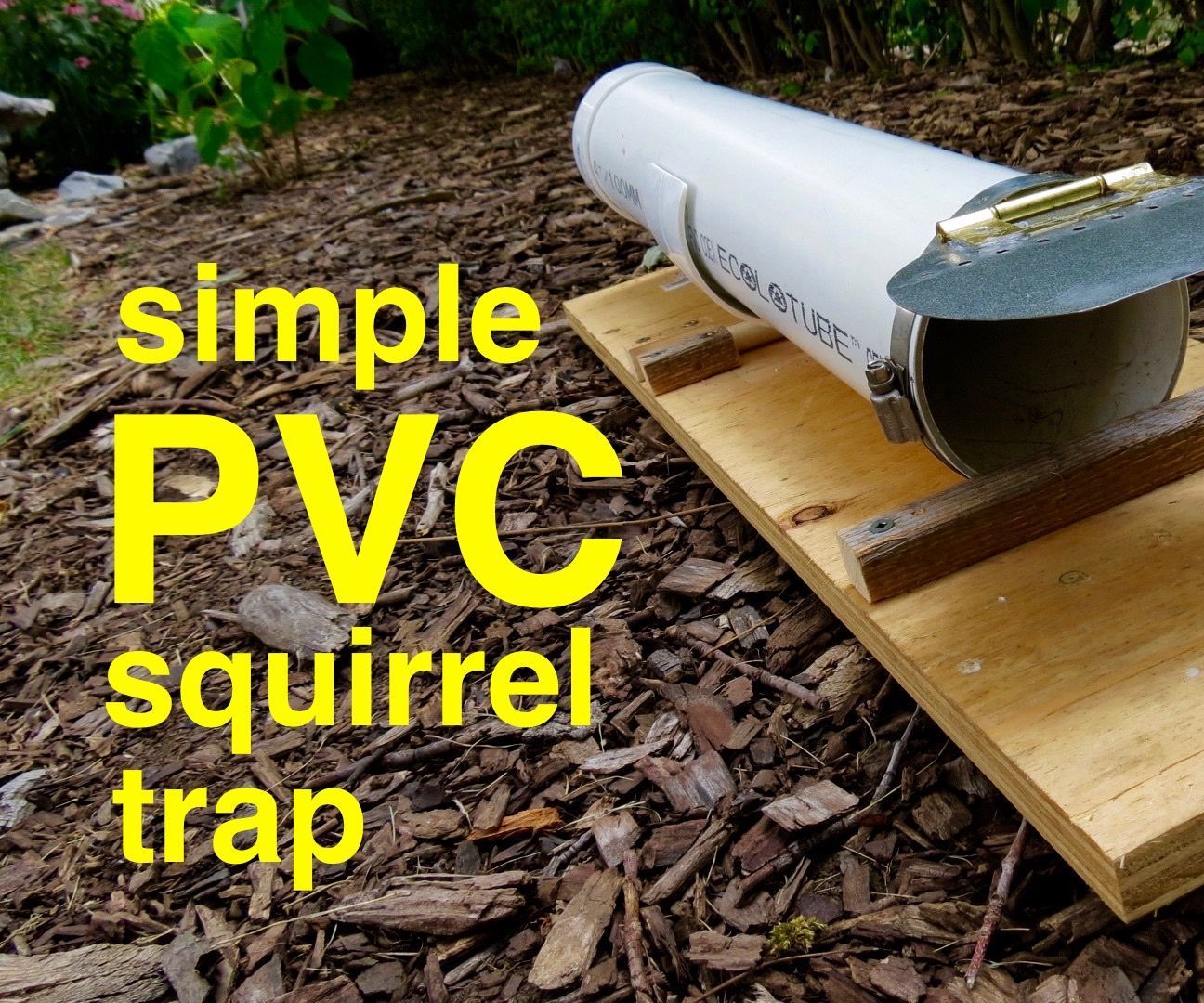 PVC Humane Capture Release Squirrel Trap
