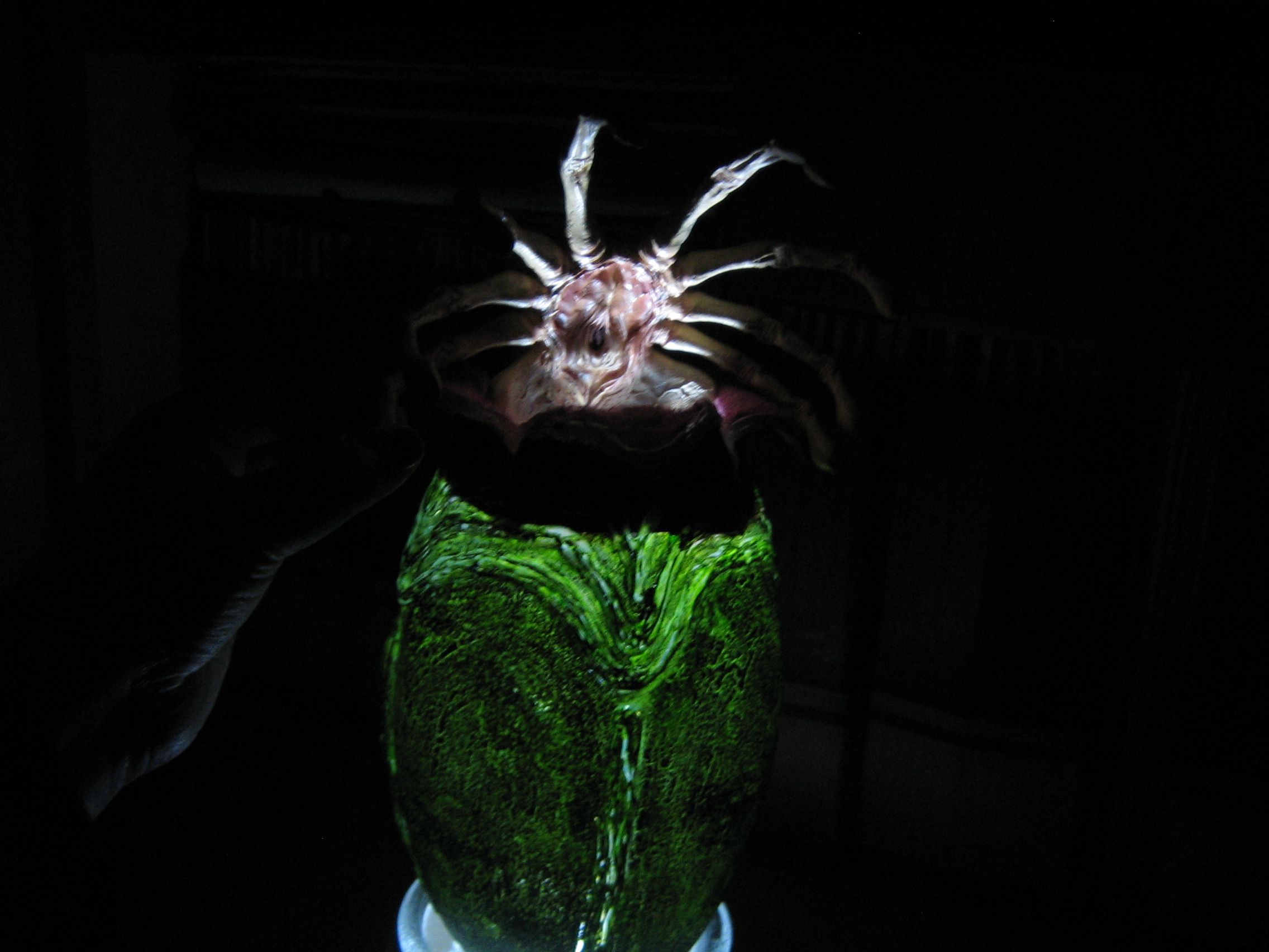 Alien Facehugger Egg