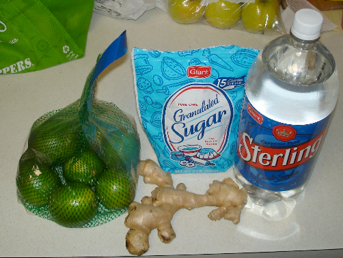 Ginger Ale Syrup