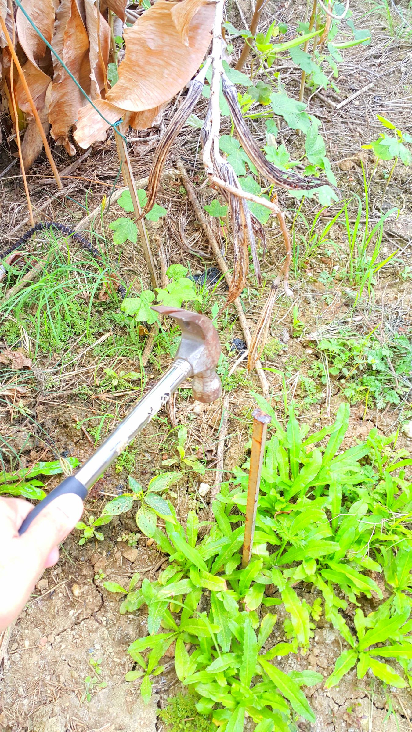 Air Conditioner Condensate to Water Plants. 3 Steps Instructables