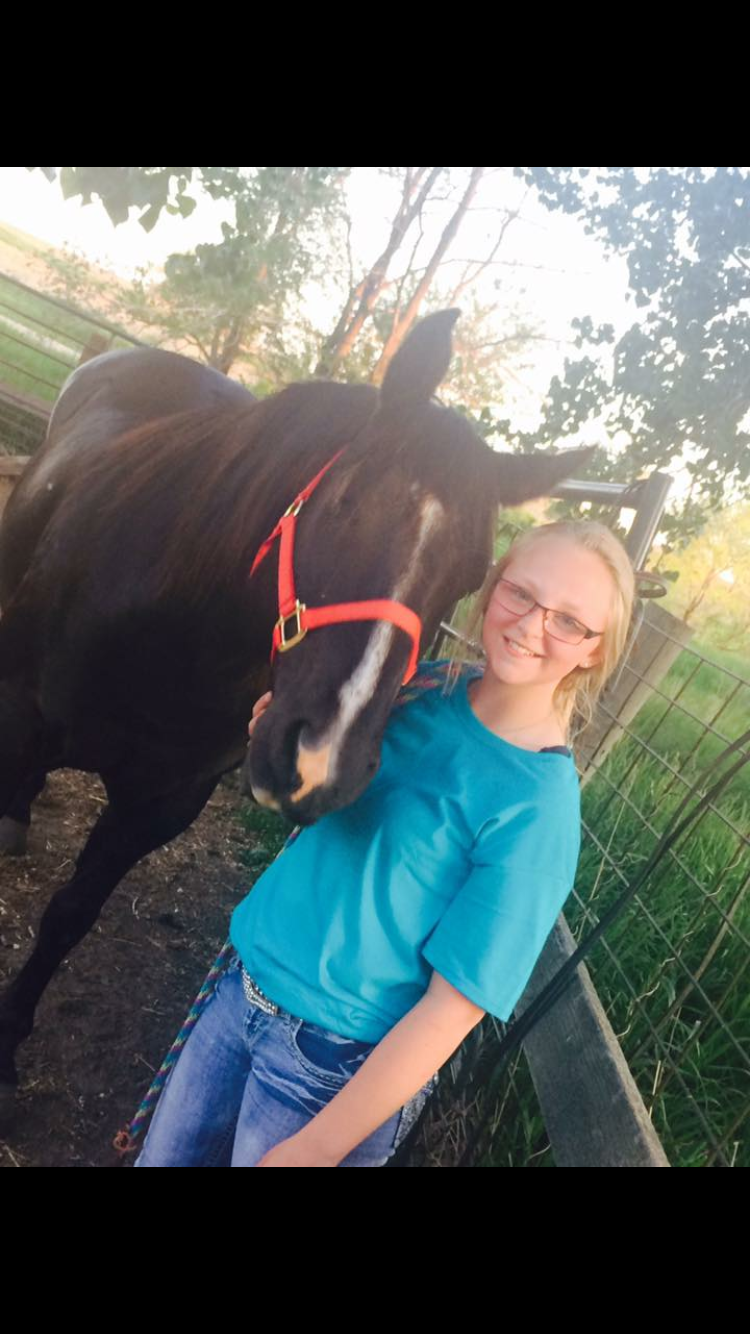 How to Properly Halter a Horse Introduction 5 Steps (with Pictures