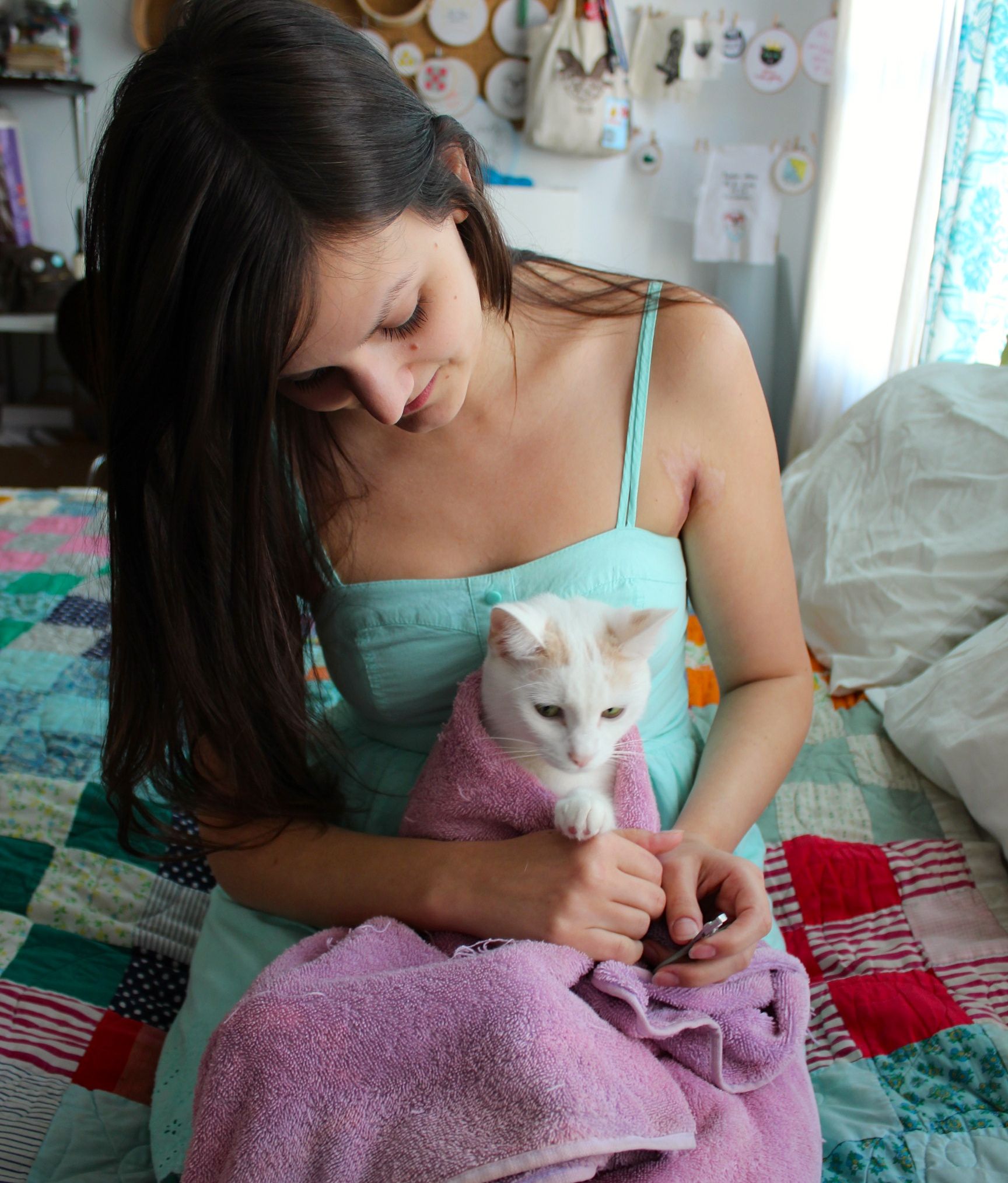 How to Trim Your Cat's Claws 4 Steps (with Pictures) Instructables