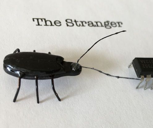 a composition with two bugs DIY Project DIY Project Image