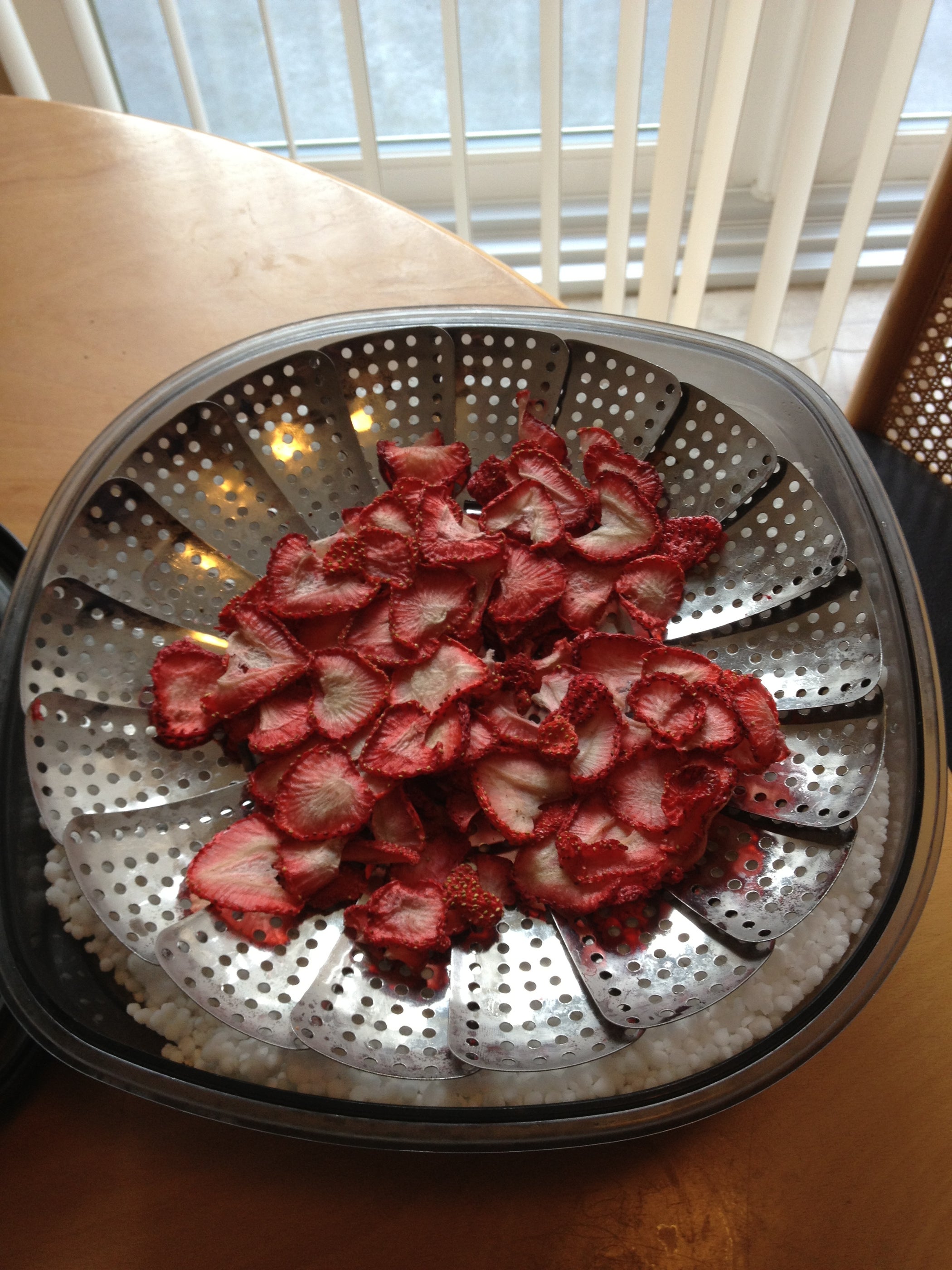 Freeze Dry at Home 6 Steps Instructables