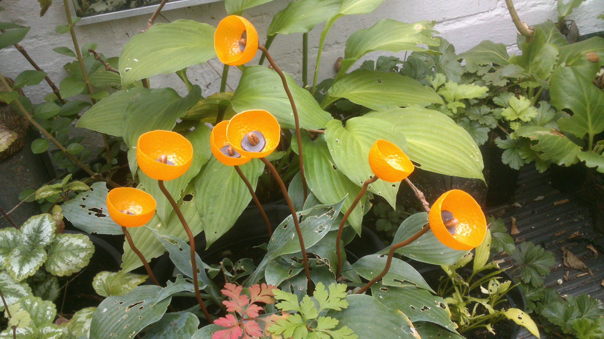 Ornamental Plastic Flowers 5 Steps (with Pictures) Instructables