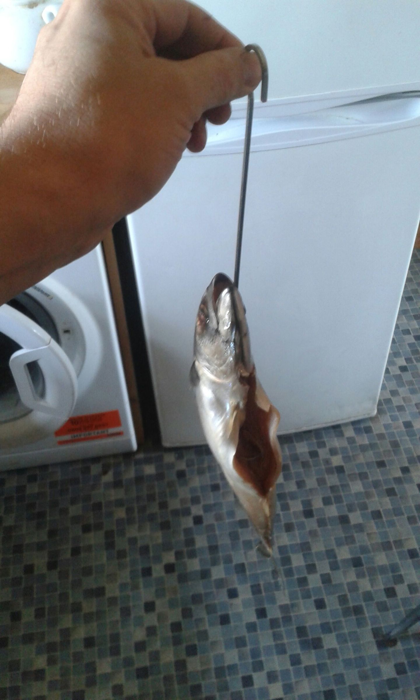 Fish Smoking Hook 10 Steps Instructables