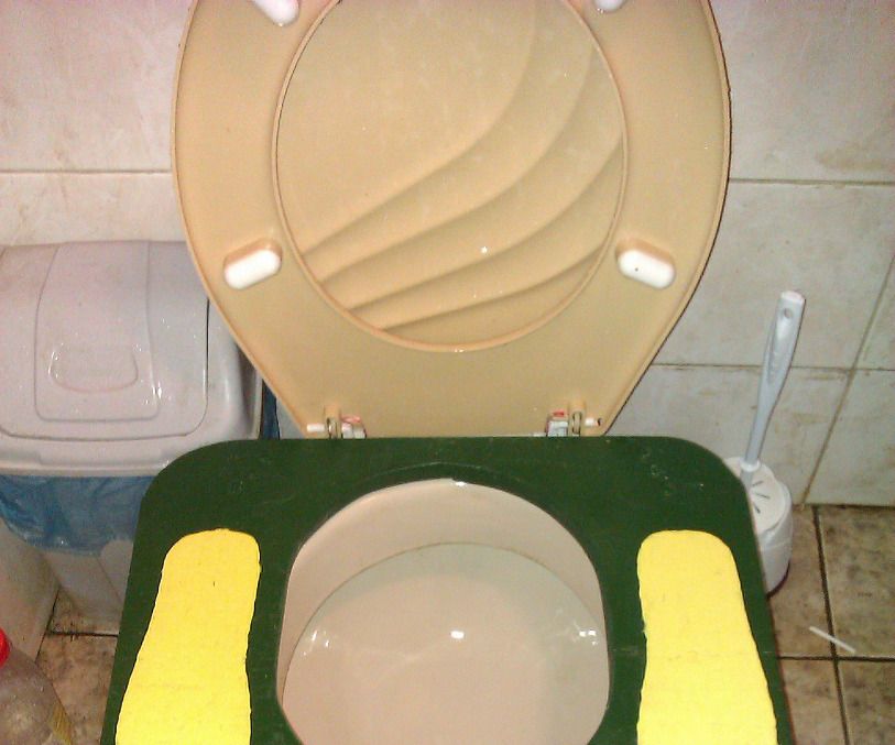 A Healthier Toilet at Home 5 Steps Instructables