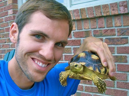 tortoise house accessories