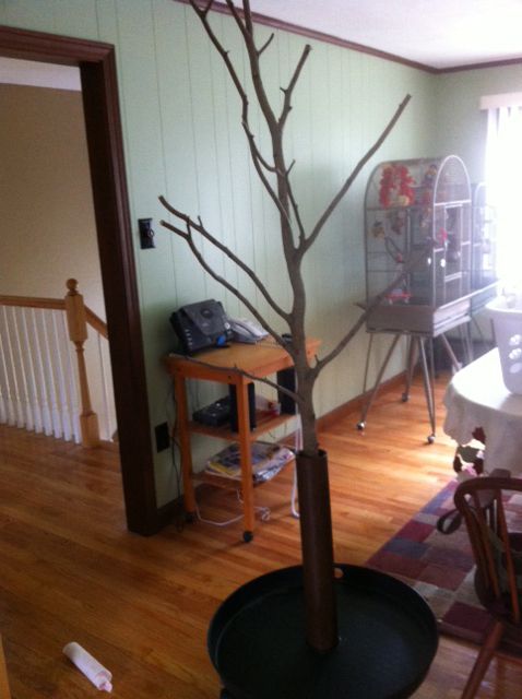 parrot stands play gyms