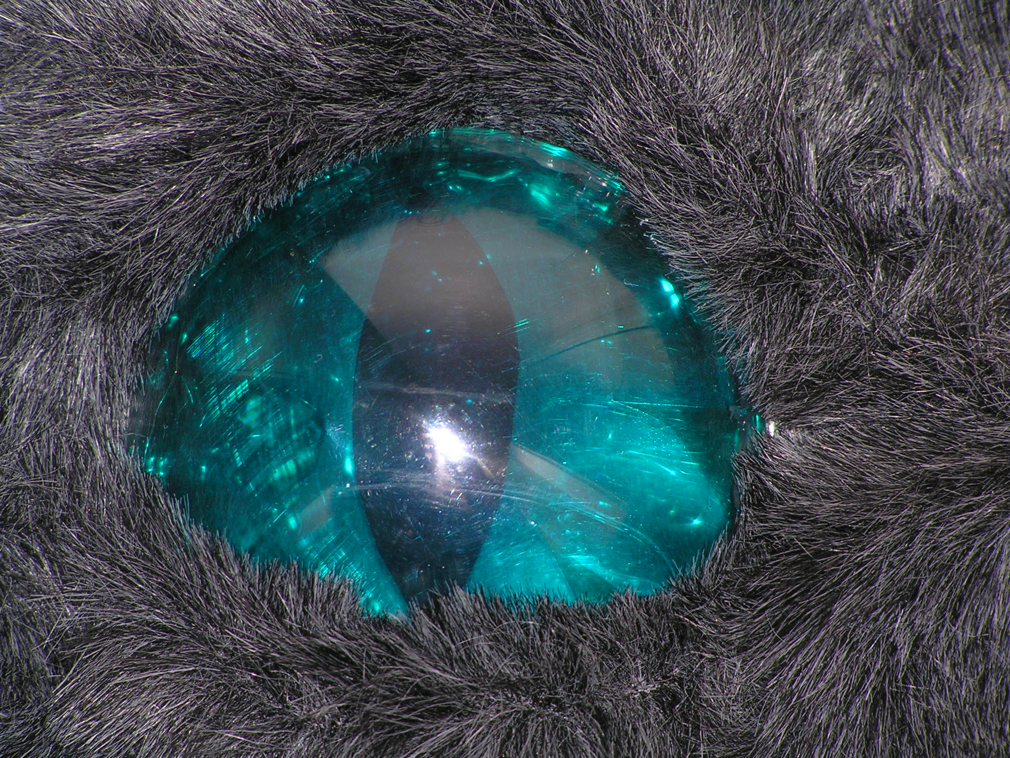 Fursuit Eyes You Can See Out Of! 5 Steps (with Pictures) Instructables