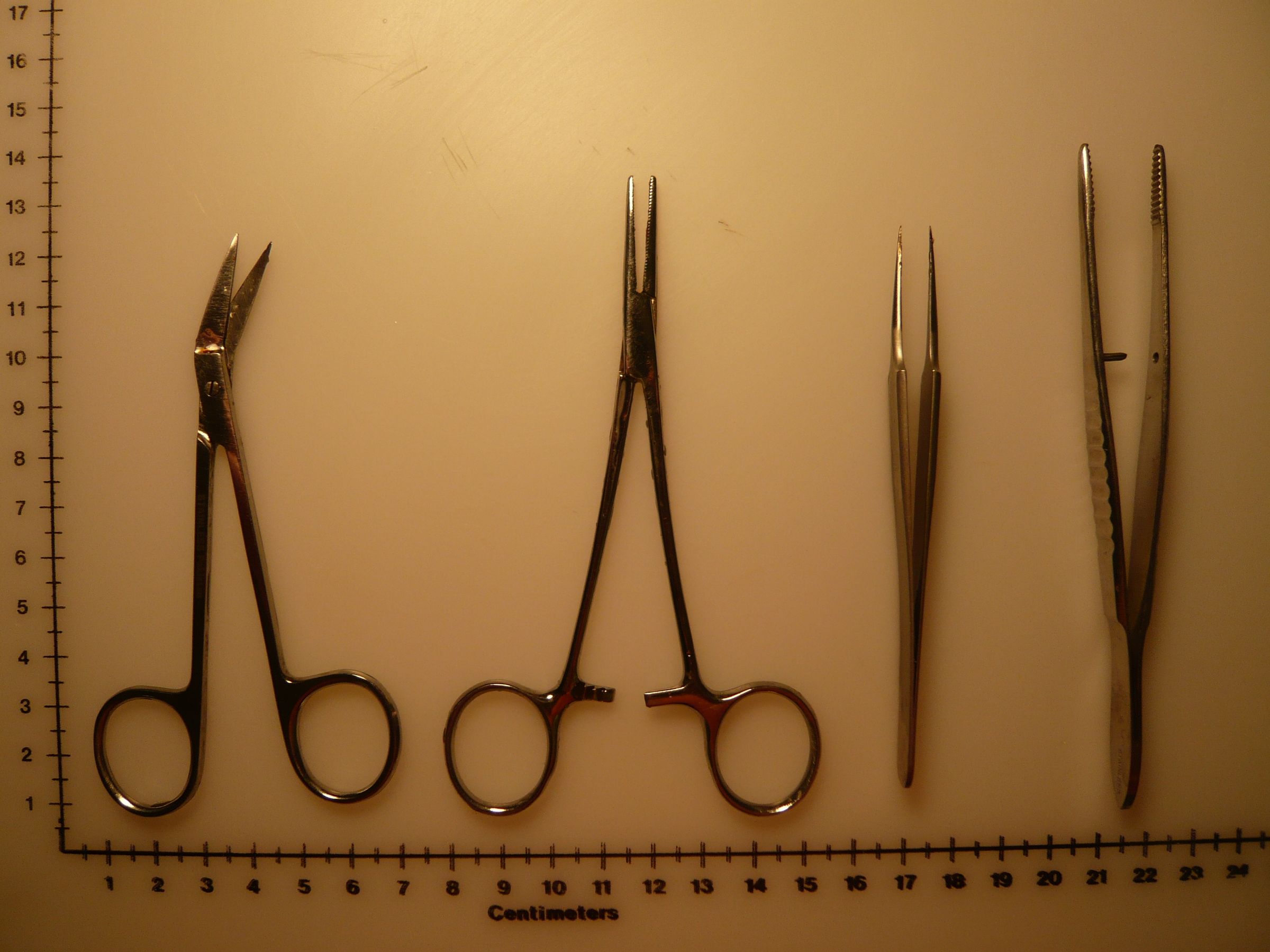 How to Dissect a Frog 5 Steps Instructables