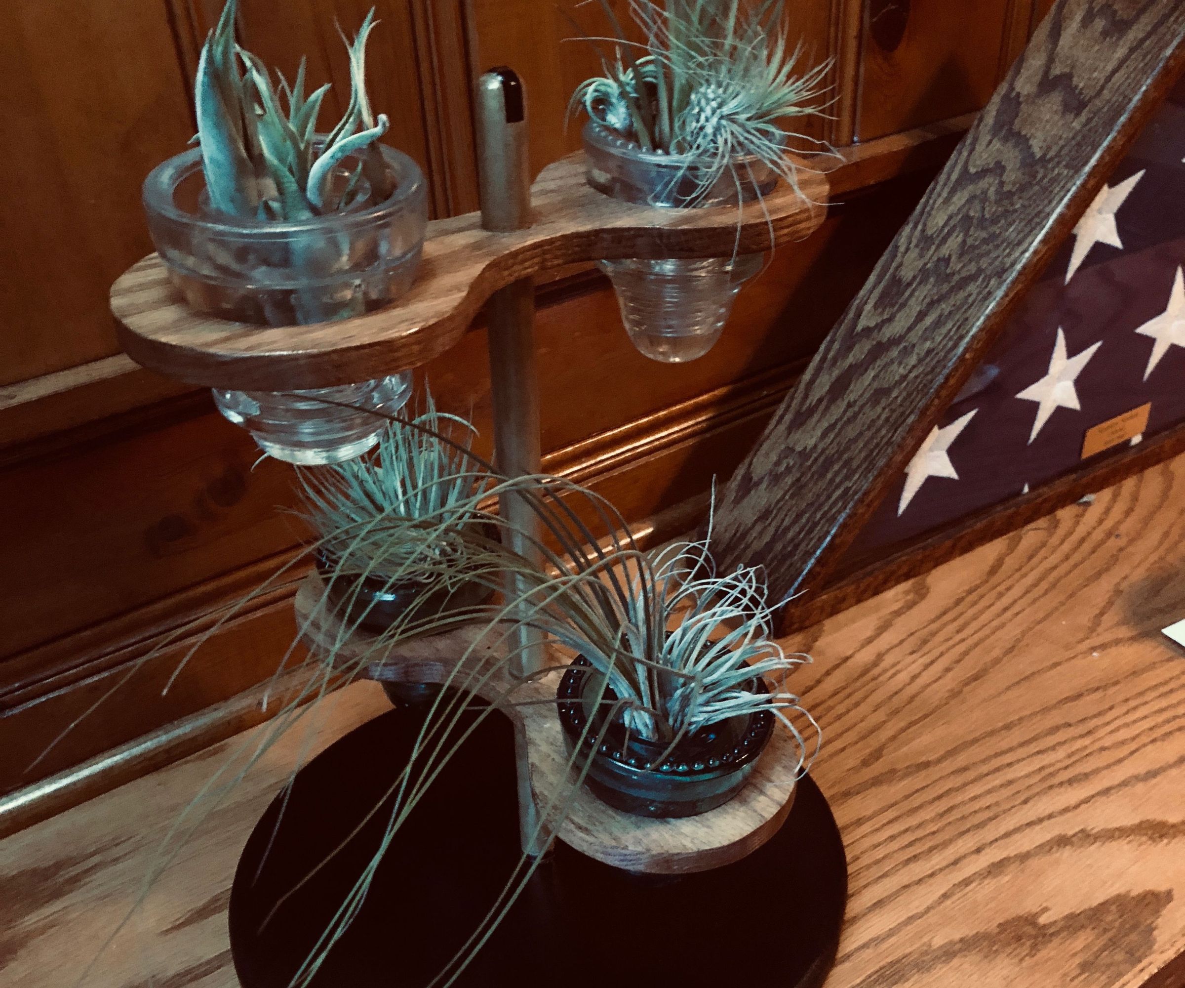 air plant (tillandsia) display/habitat from old electrical insulators DIY Project DIY Project Image
