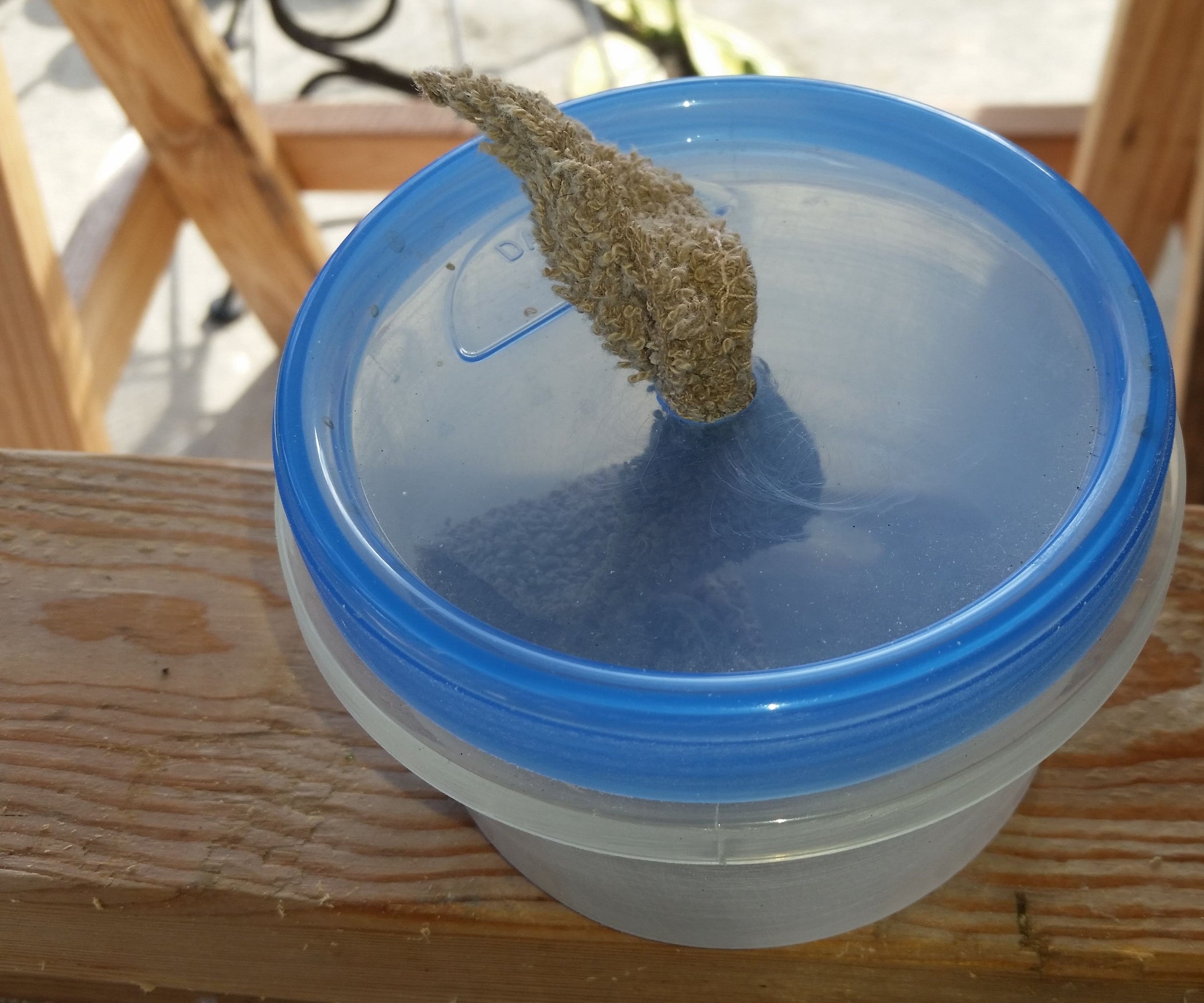 Automatic Waterer for Crickets or Roaches 5 Steps Instructables