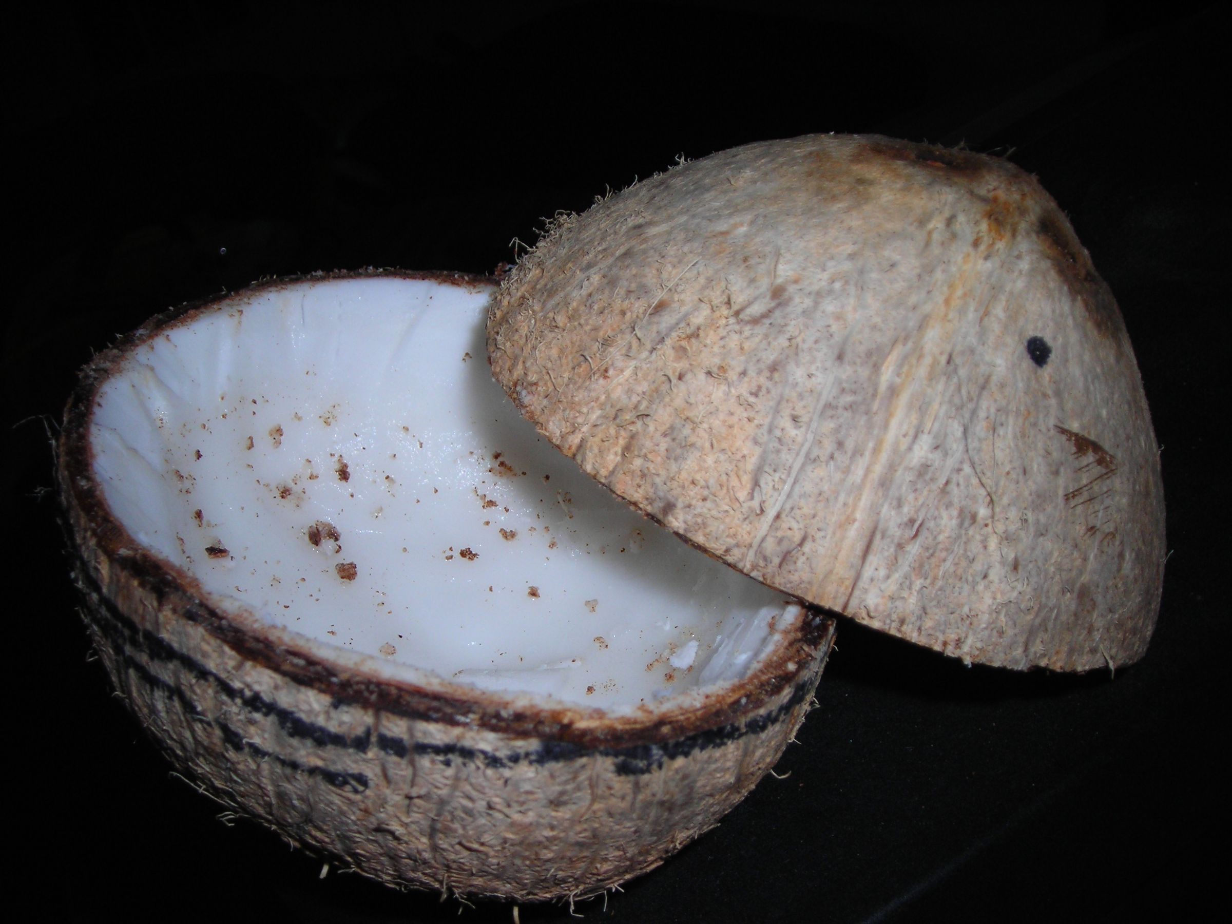 How To Coconut Bowl 5 Steps (with Pictures) Instructables